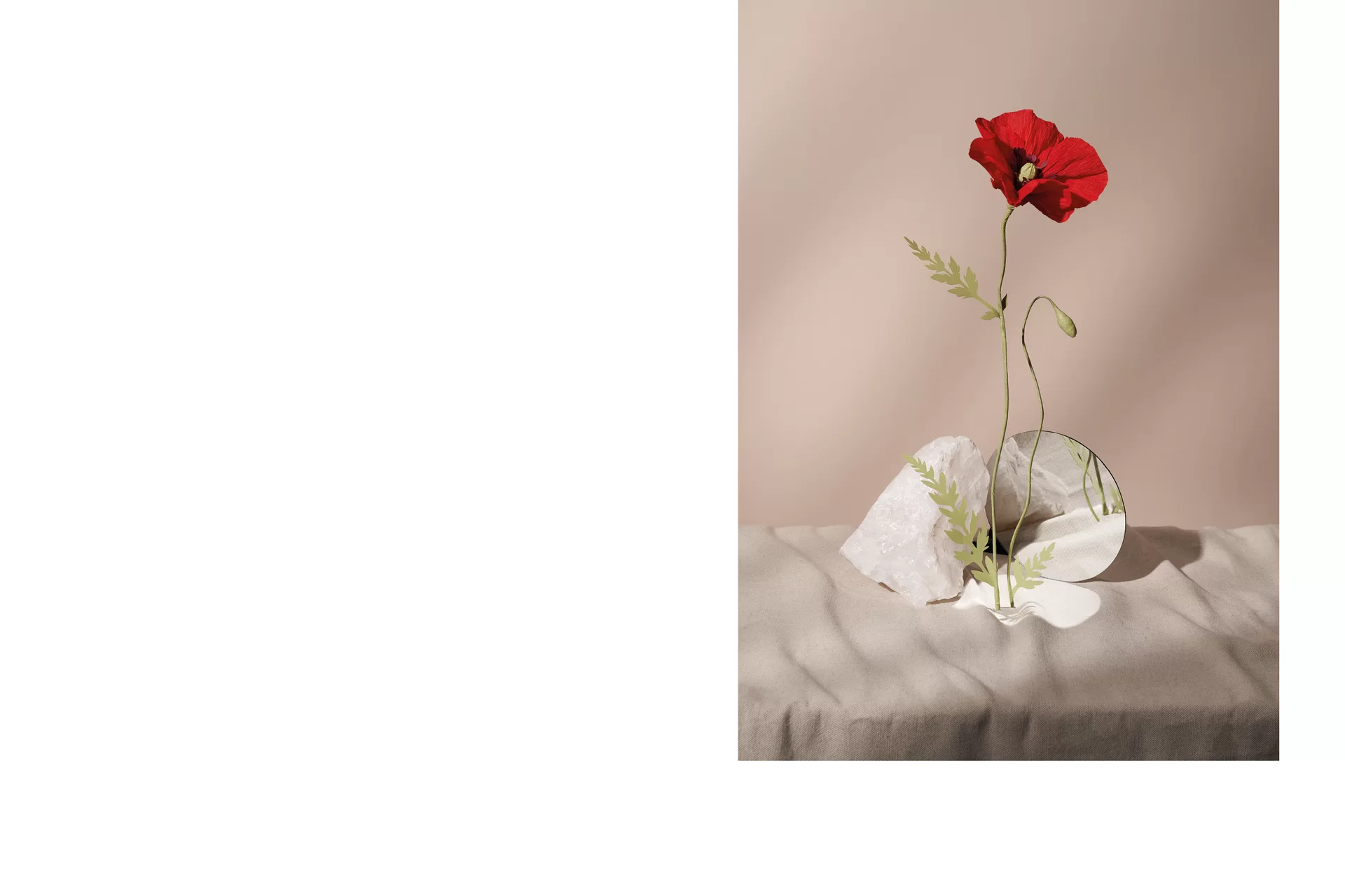 MJR Melanie JeanRichard Blühende Fantasie Mediterran Floristin Blumen Blumenwelt Angepasstes Branding Plakat Cover Print Swiss Grafikdesign Art Direction Creative Direction Fotografie Illustration Bunt Farbig Bildkomposition