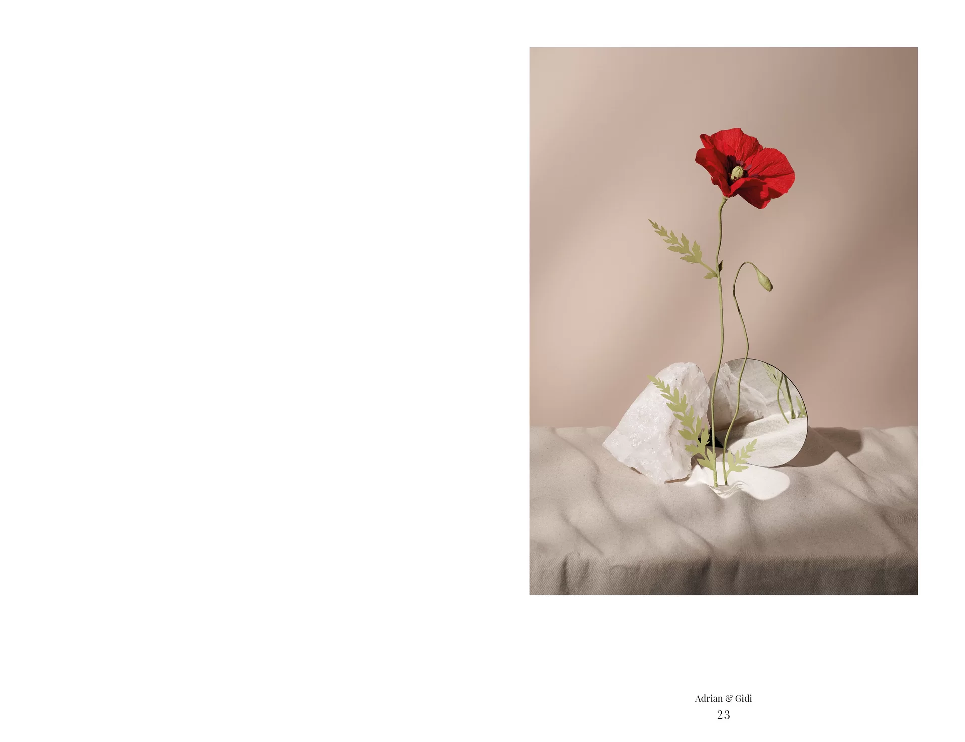 MJR Melanie JeanRichard Blühende Fantasie Mediterran Floristin Blumen Blumenwelt Angepasstes Branding Plakat Cover Print Swiss Grafikdesign Art Direction Creative Direction Fotografie Illustration Bunt Farbig Bildkomposition