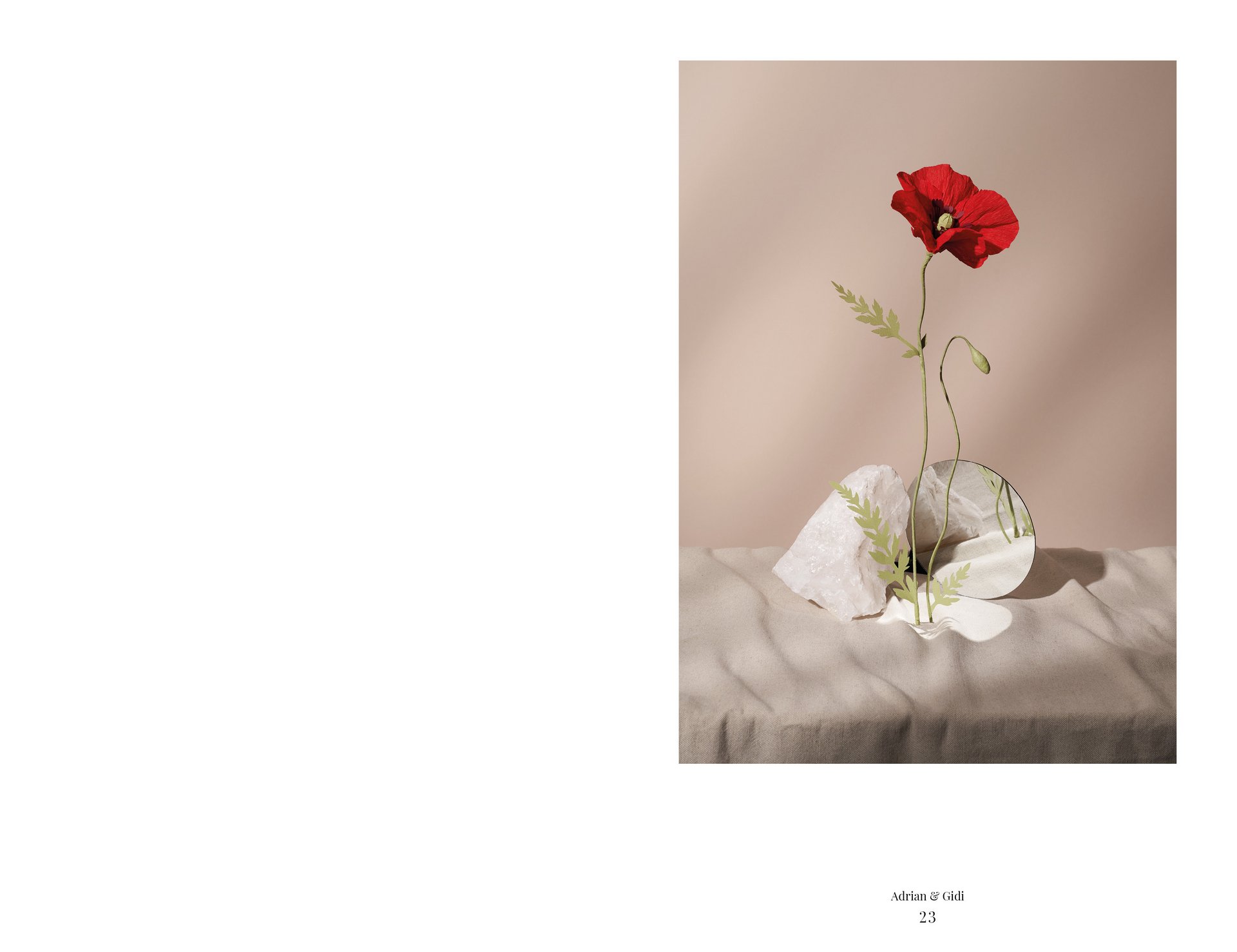 [Translate to English:] MJR Melanie JeanRichard Blühende Fantasie Mediterran Floristin Blumen Blumenwelt Angepasstes Branding Plakat Cover Print Swiss Grafikdesign Art Direction Creative Direction Fotografie Illustration Bunt Farbig Bildkomposition