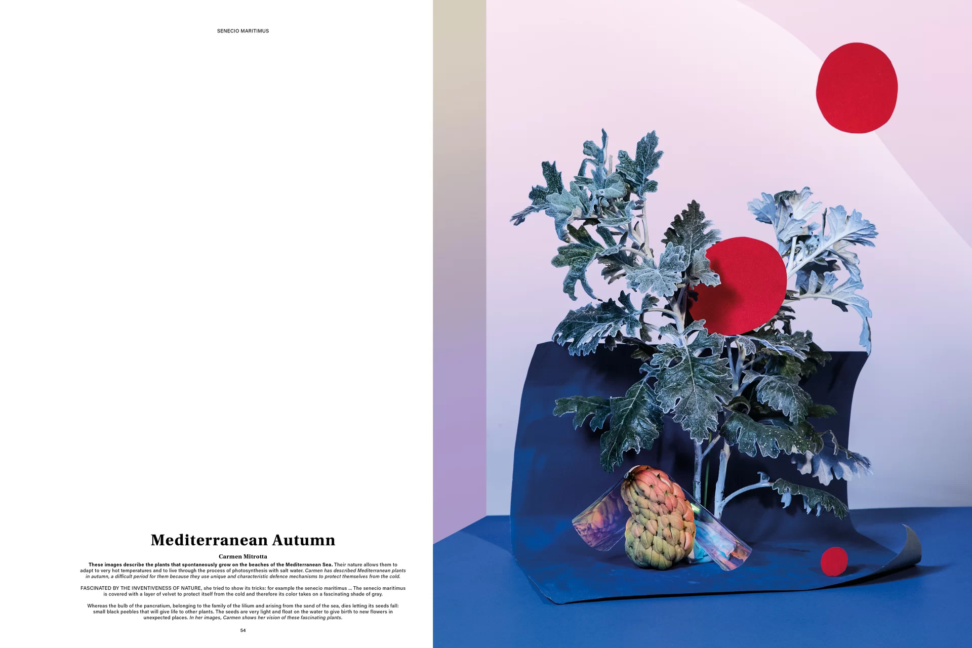 MJR Melanie JeanRichard Way of living Mediterran Floristin Blumen Blumenwelt Magazin Grossformat Kunstmagazin Kunstprojekt Inhalt Titelblatt Cover Print Swiss Grafikdesign Art Direction Creative Direction Fotografie Illustration Bunt Farbig Bildkomposition Text