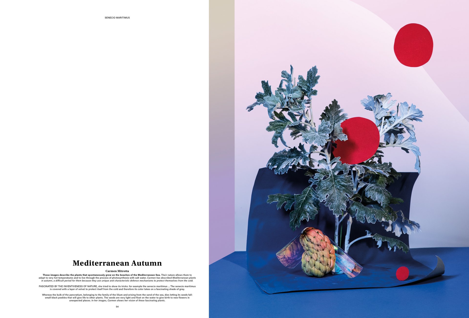 MJR Melanie JeanRichard Way of living Mediterran Floristin Blumen Blumenwelt Magazin Grossformat Kunstmagazin Kunstprojekt Inhalt Titelblatt Cover Print Swiss Grafikdesign Art Direction Creative Direction Fotografie Illustration Bunt Farbig Bildkomposition Text