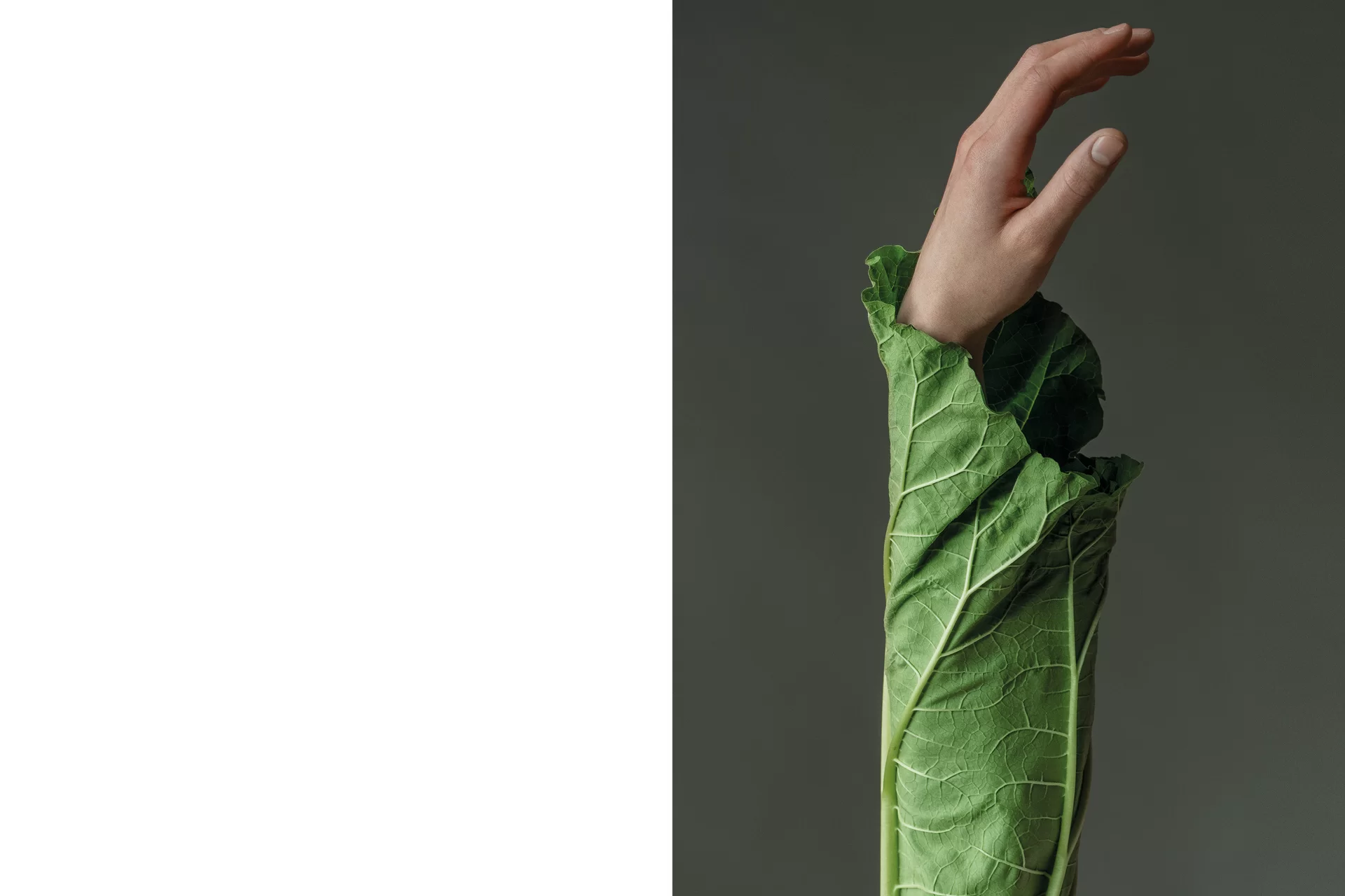 MJR Melanie JeanRichard Blühende Fantasie Mediterran Floristin Blumen Blumenwelt Angepasstes Branding Plakat Cover Print Swiss Grafikdesign Art Direction Creative Direction Fotografie Illustration Bunt Farbig Bildkomposition