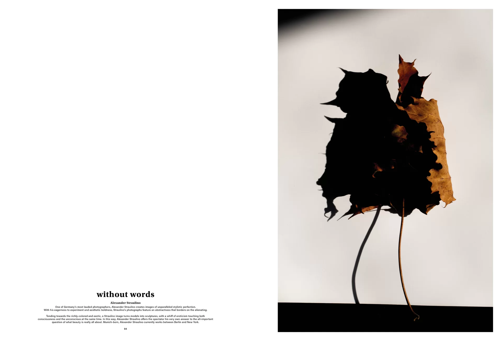 MJR Melanie JeanRichard Way of living Mediterran Floristin Blumen Blumenwelt Magazin Grossformat Kunstmagazin Kunstprojekt Inhalt Titelblatt Cover Print Swiss Grafikdesign Art Direction Creative Direction Fotografie Illustration Bunt Farbig Bildkomposition Text