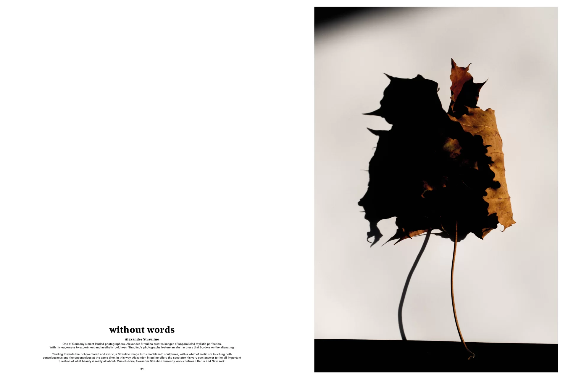 MJR Melanie JeanRichard Way of living Mediterran Floristin Blumen Blumenwelt Magazin Grossformat Kunstmagazin Kunstprojekt Inhalt Titelblatt Cover Print Swiss Grafikdesign Art Direction Creative Direction Fotografie Illustration Bunt Farbig Bildkomposition Text