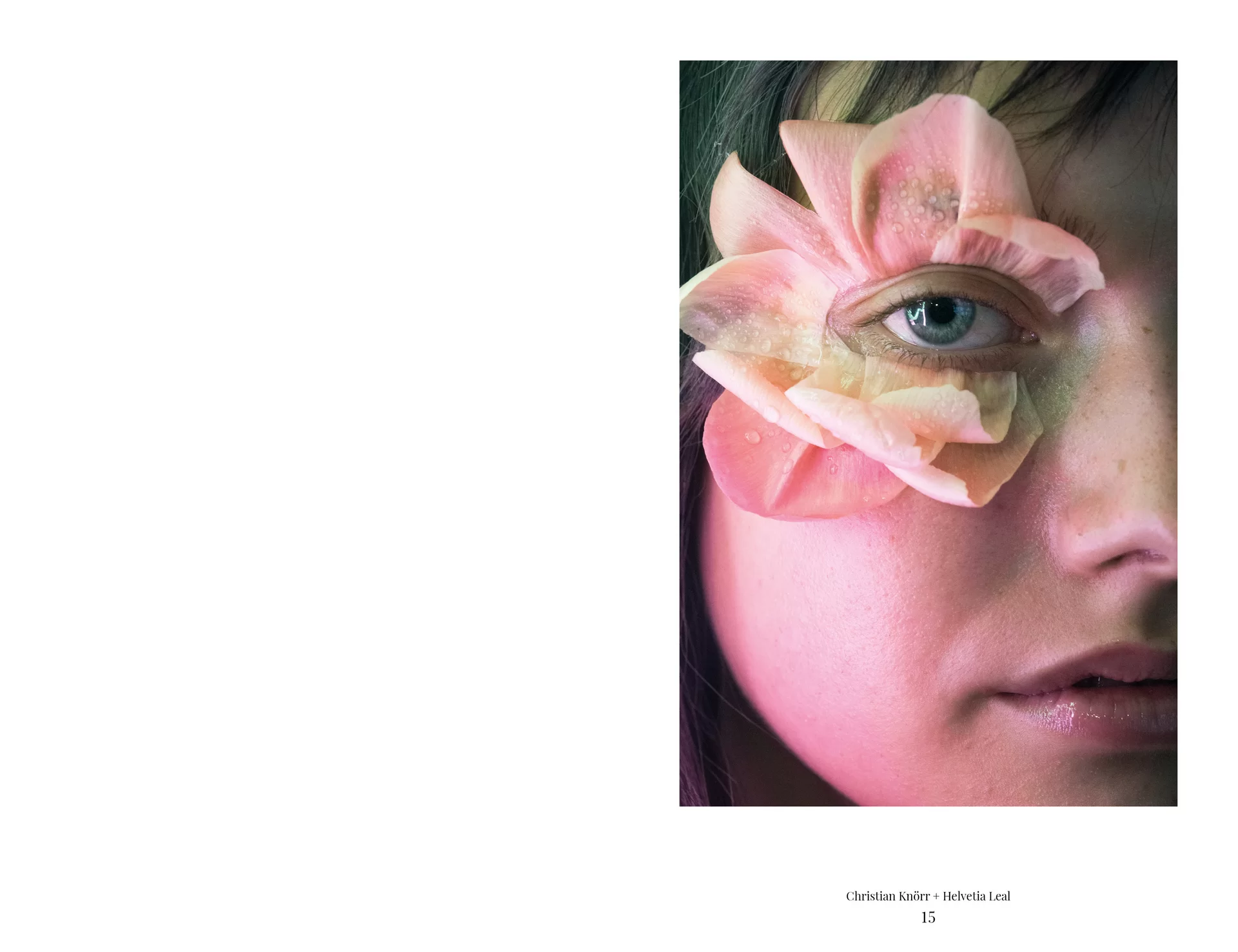 MJR Melanie JeanRichard Blühende Fantasie Mediterran Floristin Blumen Blumenwelt Angepasstes Branding Plakat Cover Print Swiss Grafikdesign Art Direction Creative Direction Fotografie Illustration Bunt Farbig Bildkomposition