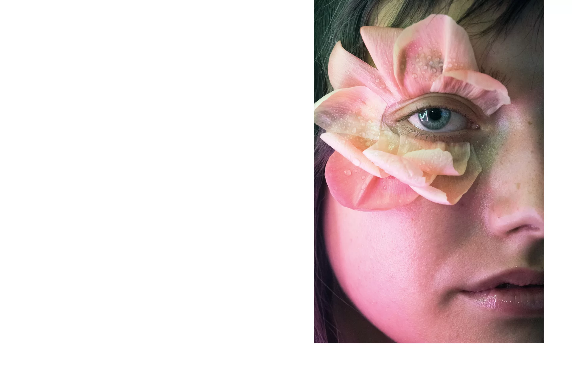 MJR Melanie JeanRichard Blühende Fantasie Mediterran Floristin Blumen Blumenwelt Angepasstes Branding Plakat Cover Print Swiss Grafikdesign Art Direction Creative Direction Fotografie Illustration Bunt Farbig Bildkomposition