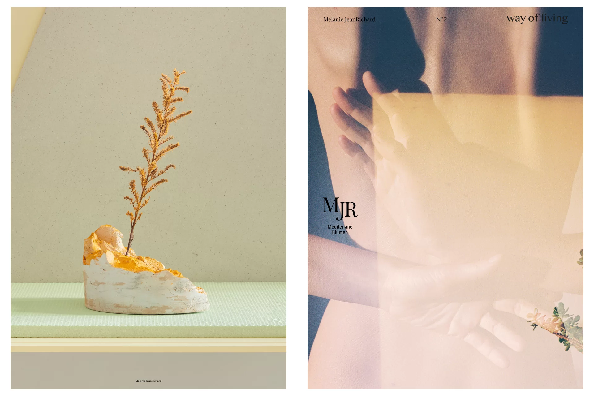 MJR Melanie JeanRichard Way of living Mediterran Floristin Blumen Blumenwelt Magazin Grossformat Kunstmagazin Kunstprojekt Inhalt Titelblatt Cover Print Swiss Grafikdesign Art Direction Creative Direction Fotografie Illustration Bunt Farbig Bildkomposition Text