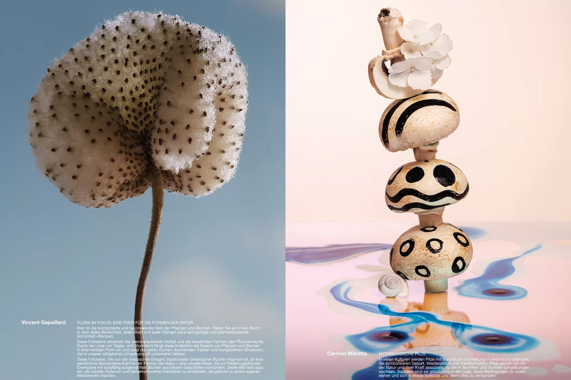 Studio Thom Pfister YES Einmalig Ausstellung Einladung Kuratiert Künstlerinnen Kunst Verkauf Swiss Grafikdesign International Art Direction Creative Direction Grossformat Magazin limitiert Cover Titelbild Inhalt Text Christof Gertsch Plakat Karte Postversand Fotografie Illustration Bunt Farbig Bildkomposition