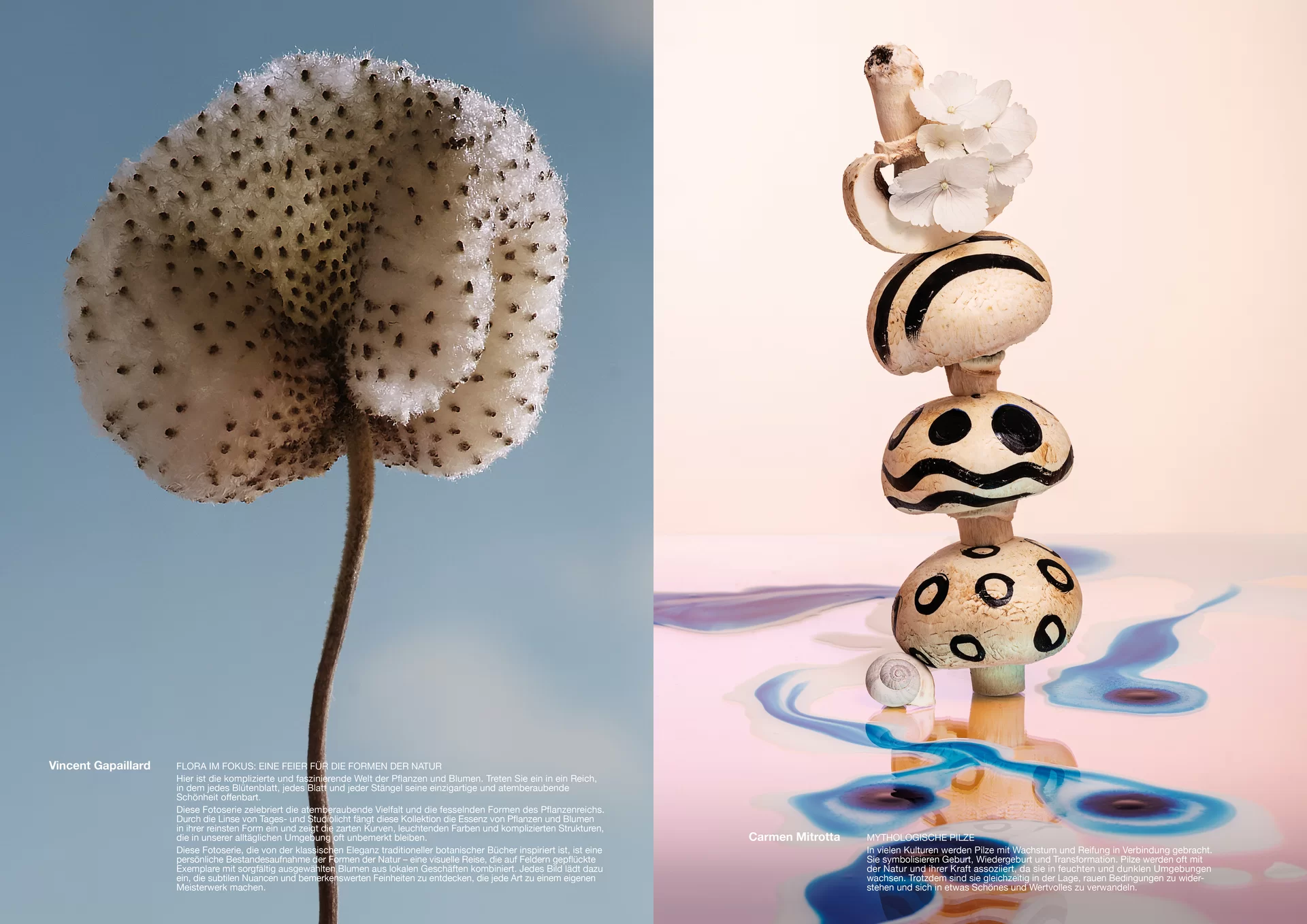 [Translate to English:] Studio Thom Pfister YES Einmalig Ausstellung Einladung Kuratiert Künstlerinnen Kunst Verkauf Swiss Grafikdesign International Art Direction Creative Direction Grossformat Magazin limitiert Cover Titelbild Inhalt Text Christof Gertsch Plakat Karte Postversand Fotografie Illustration Bunt Farbig Bildkomposition