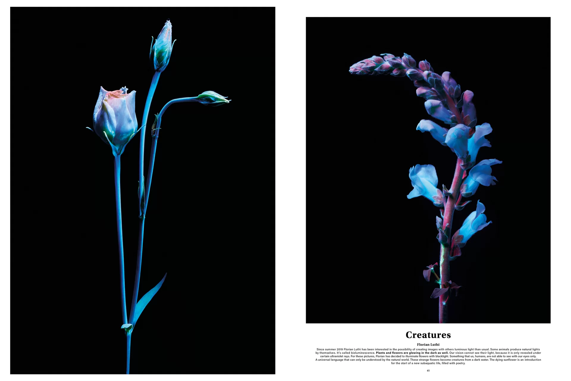 Melanie JeanRichard, «way of living»