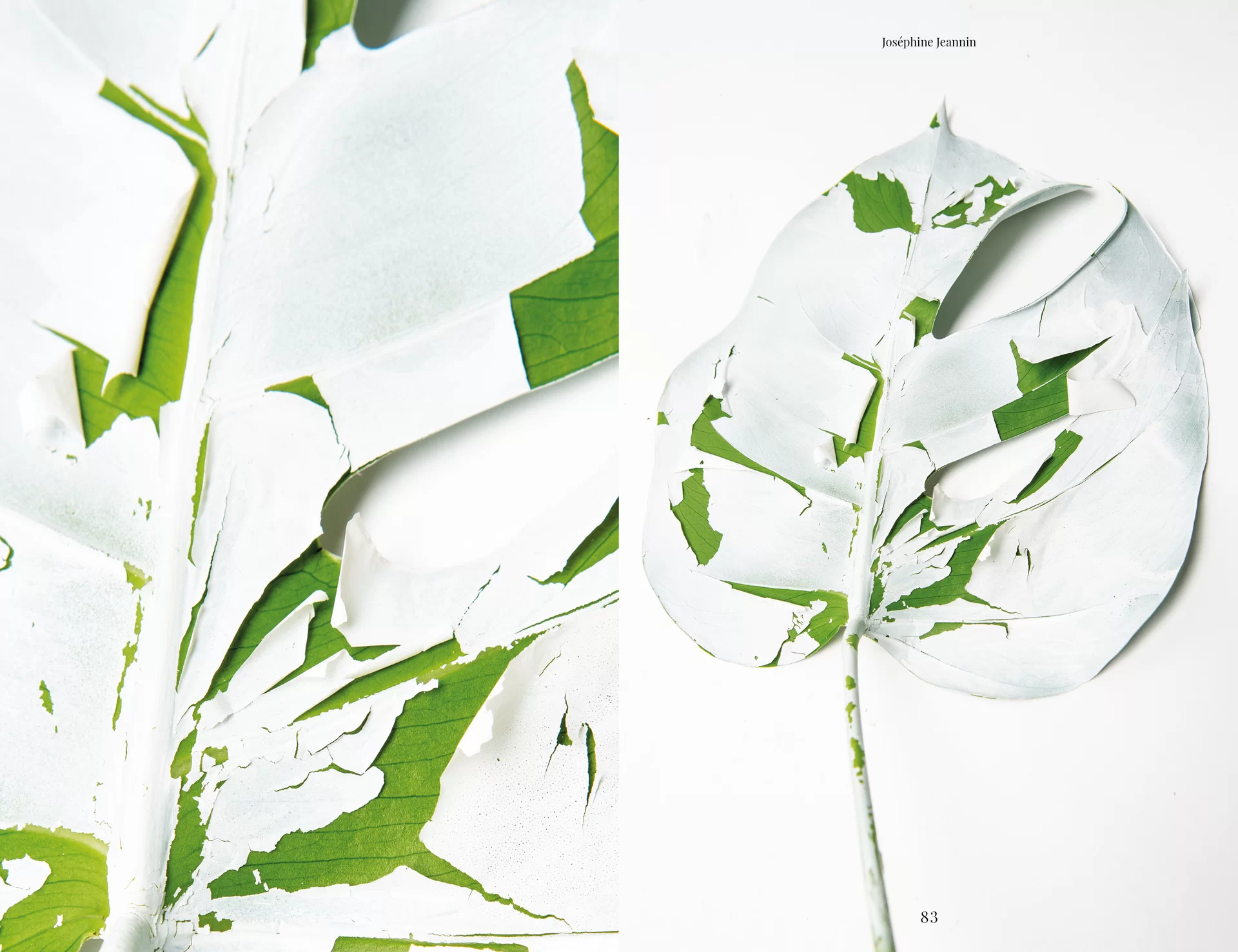 MJR Melanie JeanRichard Blühende Fantasie Mediterran Floristin Blumen Blumenwelt Angepasstes Branding Plakat Cover Print Swiss Grafikdesign Art Direction Creative Direction Fotografie Illustration Bunt Farbig Bildkomposition