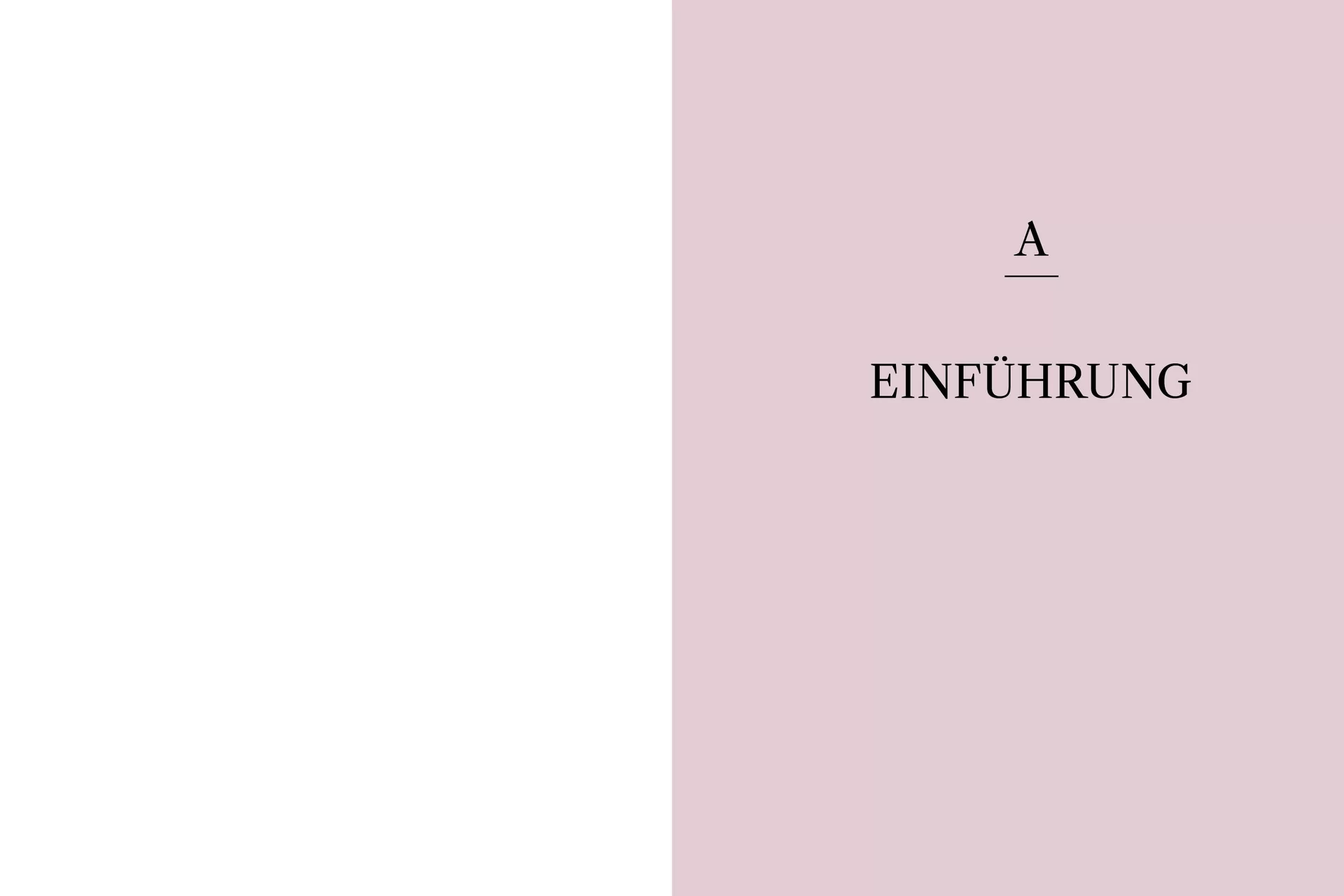 Das Zunfthaus Buch Bern Design