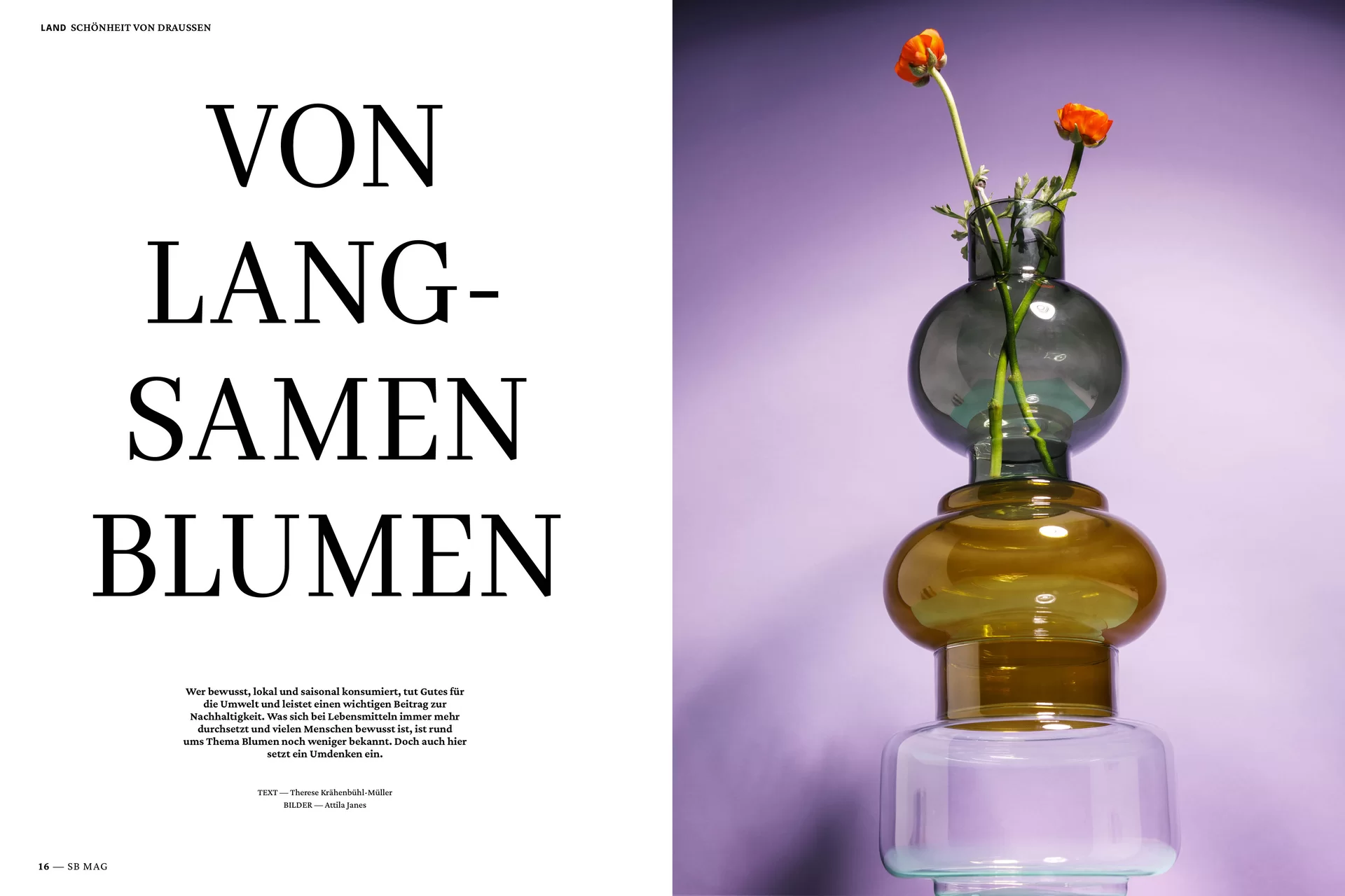 Schweizer Bauer Magazin Landwirtschaft Plakat Mobile Print Webseite Gestaltungskonzept Art Direction Creative Direction Fotografie Illustration Bunt Text Typographie Bildkomposition Essen  