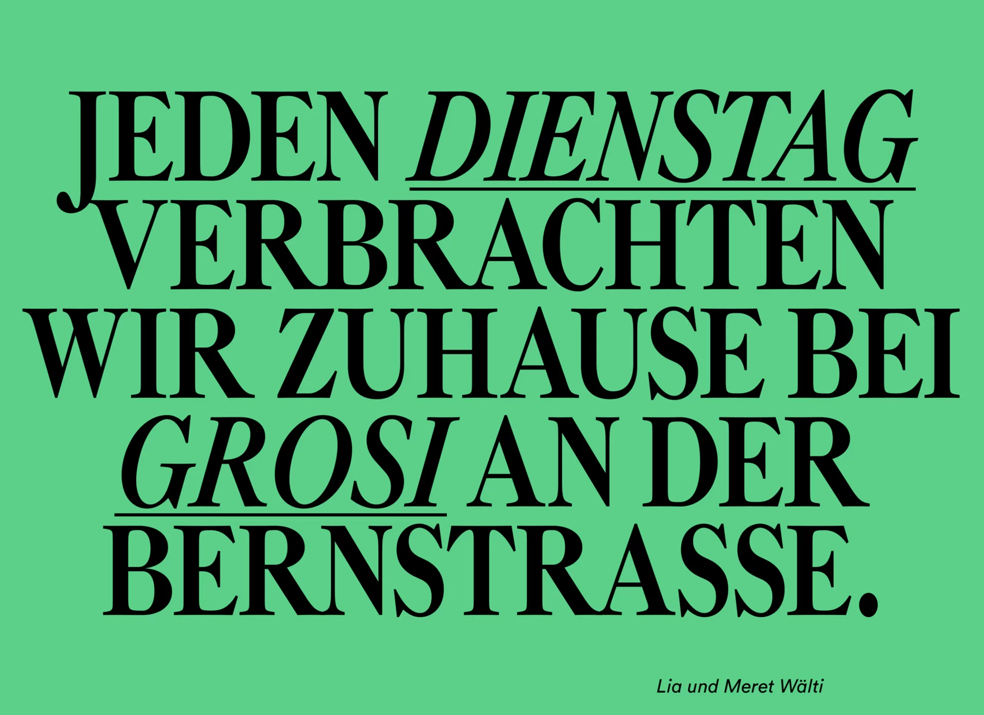 vögeli ag magazin