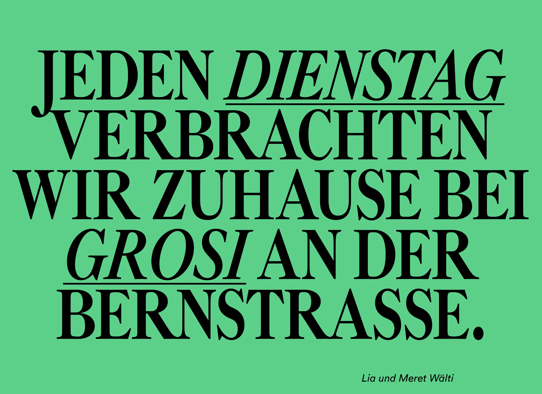 [Translate to English:] vögeli ag magazin