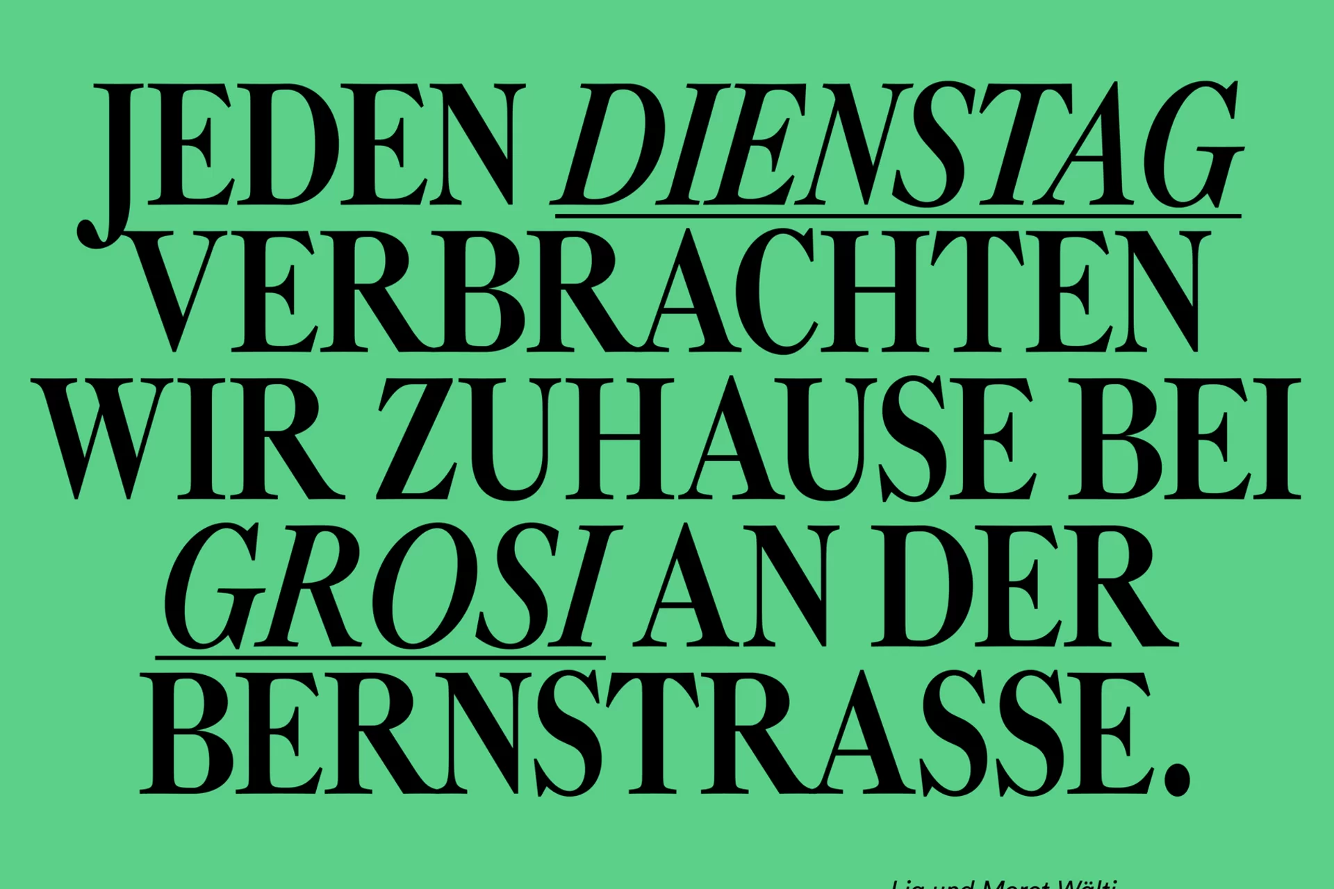 vögeli ag magazin