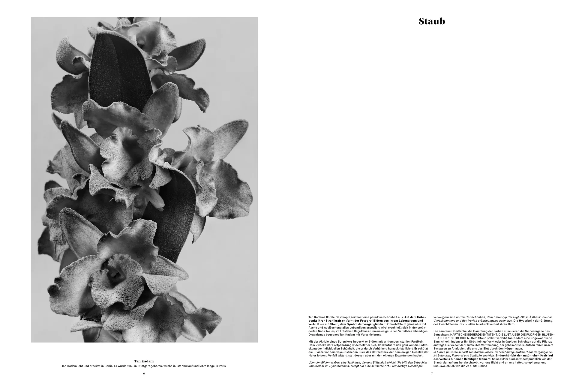 Melanie JeanRichard, «way of living»