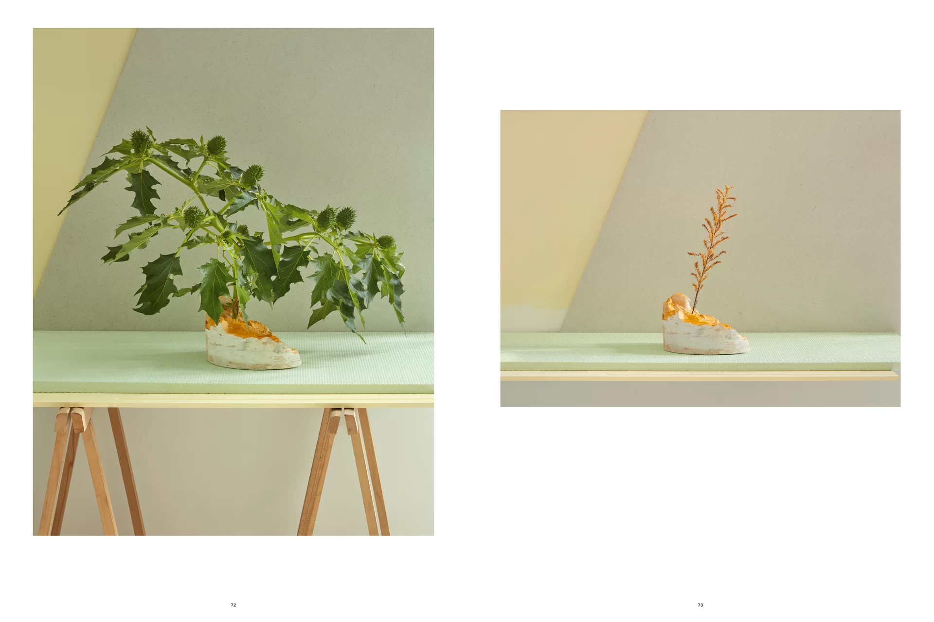 MJR Melanie JeanRichard Way of living Mediterran Floristin Blumen Blumenwelt Magazin Grossformat Kunstmagazin Kunstprojekt Inhalt Titelblatt Cover Print Swiss Grafikdesign Art Direction Creative Direction Fotografie Illustration Bunt Farbig Bildkomposition Text