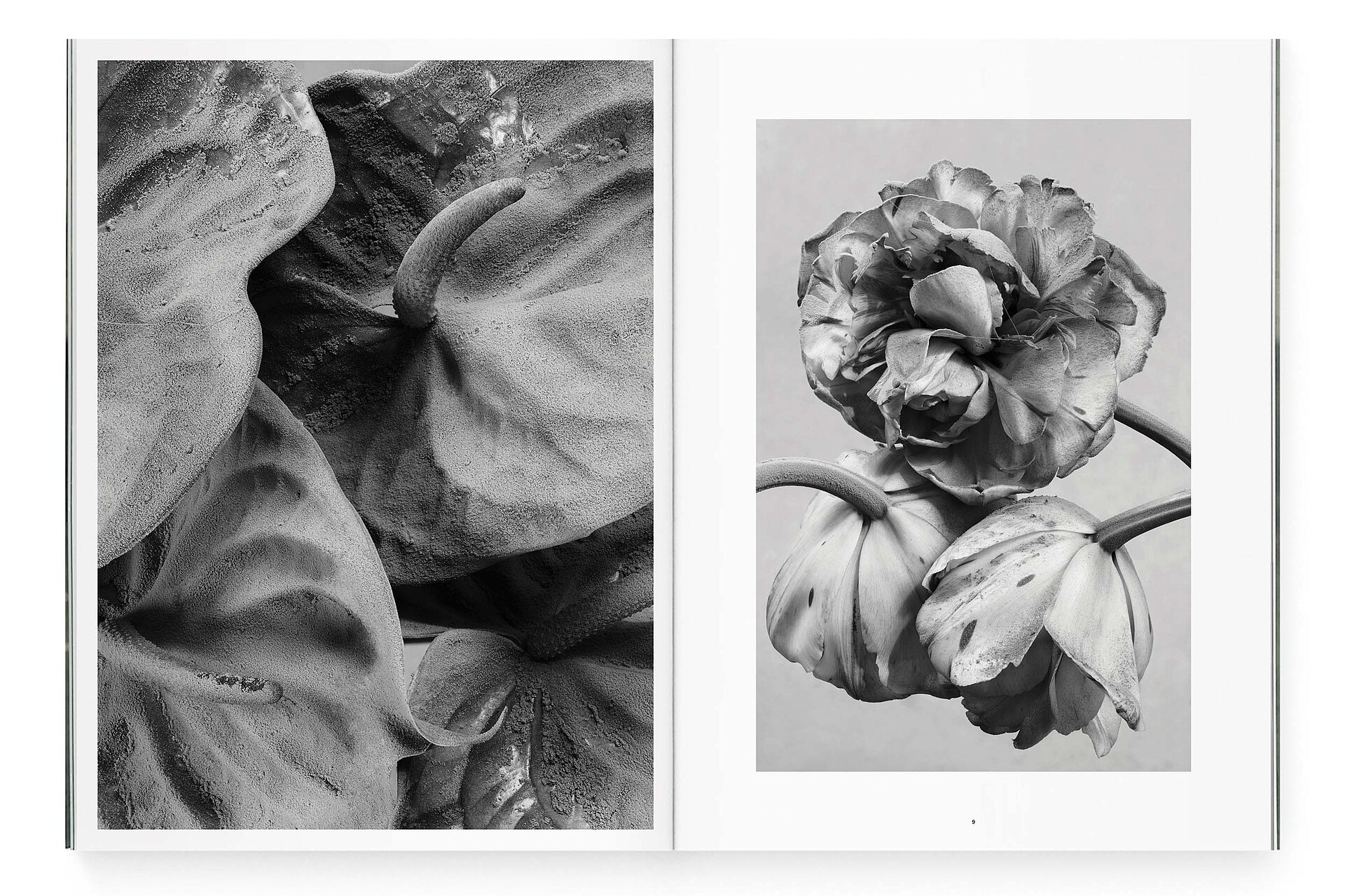 mjr magazine pages with black and white flowers  design bern