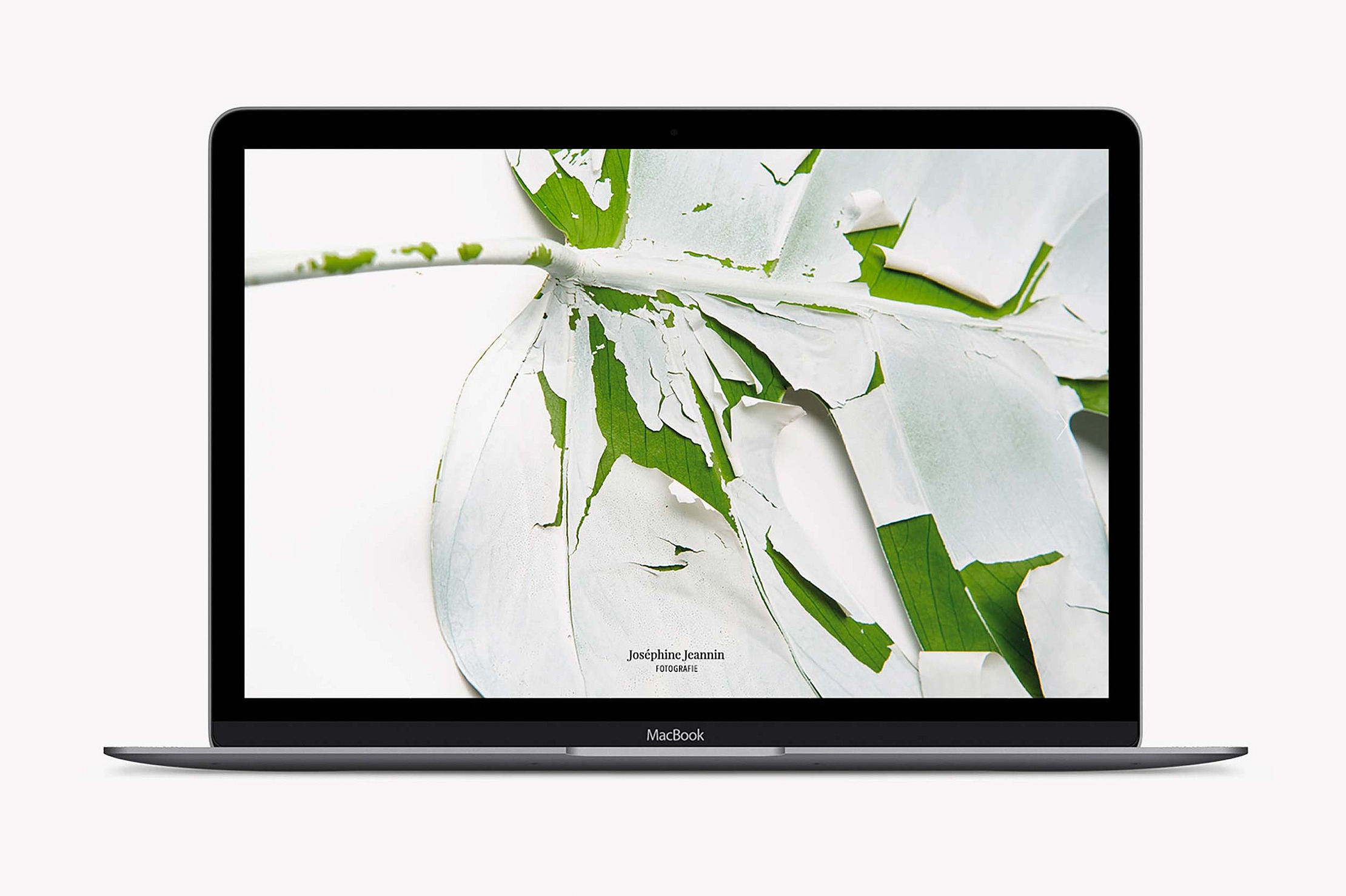 Melanie JeanRichard mockup website notebook blume farbe branding bern