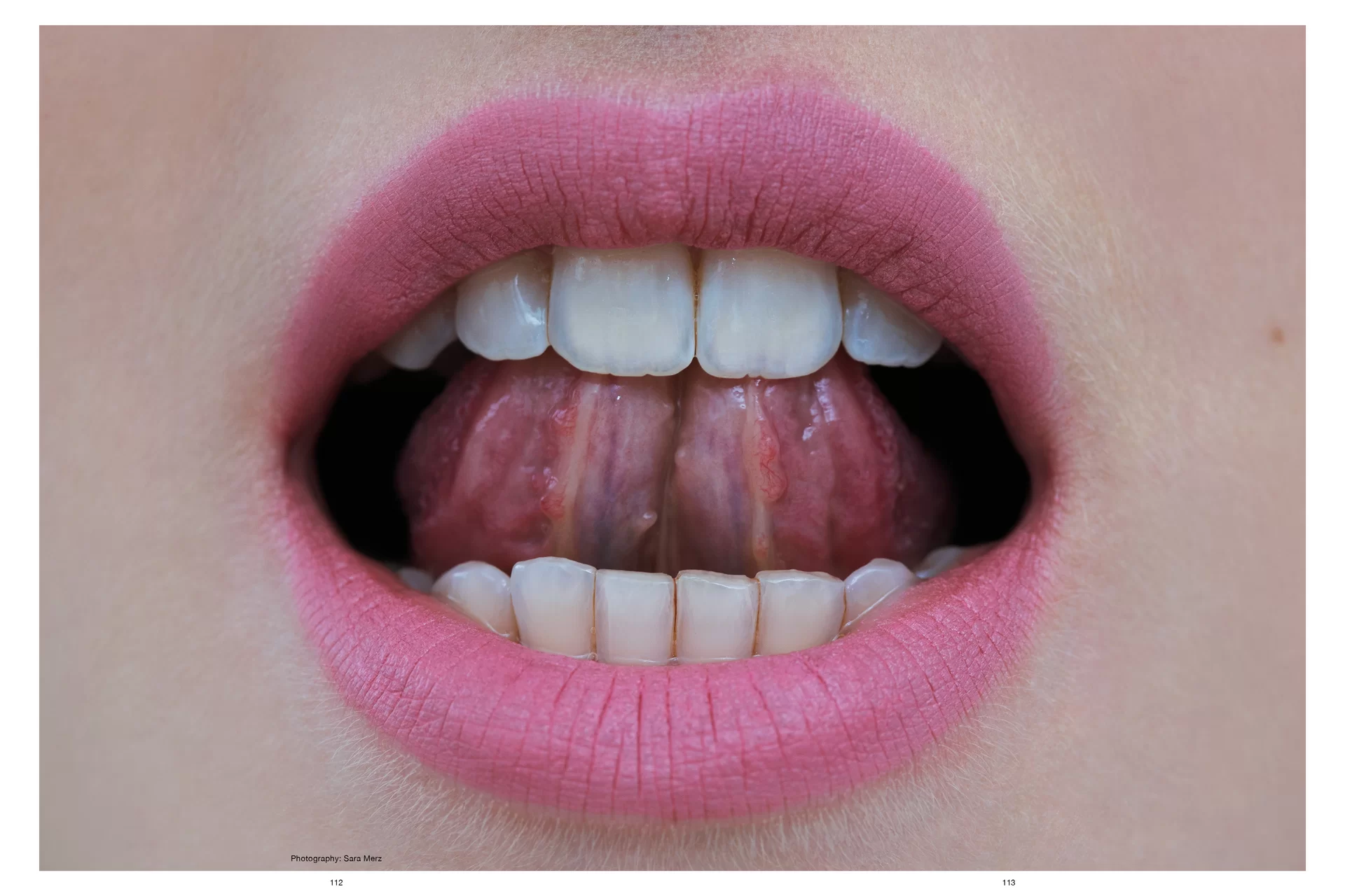 Thom Pfister Buch Inhalt Print Mund Lippen Zähne Zunge Rosa Swiss Grafikdesign Mund Lippen Begegnungen Art Direction Creative Direction Fotografie Bunt 