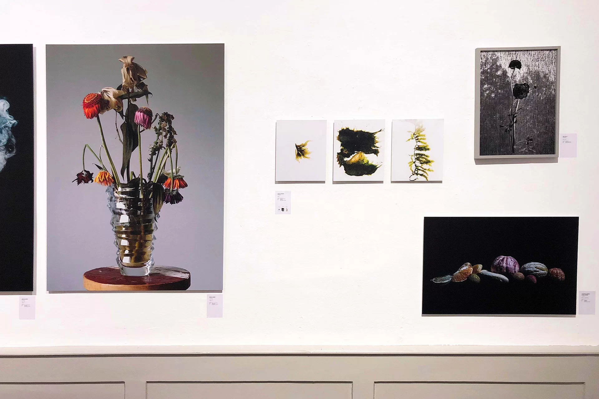 MJR Melanie JeanRichard Blühende Fantasie Mediterran Floristin Blumen Blumenwelt Angepasstes Branding Plakat Cover Print Swiss Grafikdesign Art Direction Creative Direction Fotografie Illustration Bunt Farbig Bildkomposition