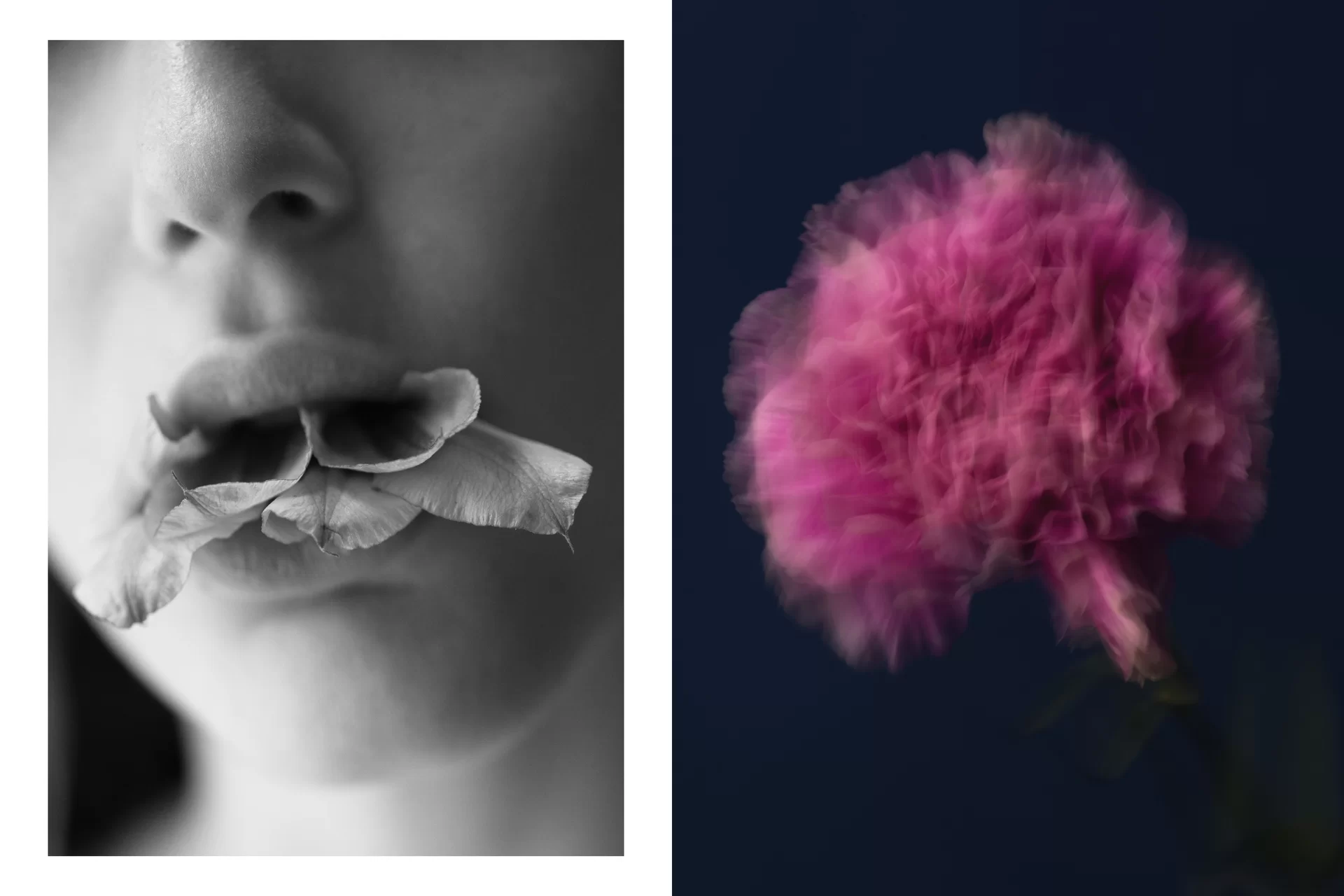 MJR Melanie JeanRichard Way of living Mediterran Floristin Blumen Blumenwelt Magazin Grossformat Kunstmagazin Kunstprojekt Inhalt Titelblatt Cover Print Swiss Grafikdesign Art Direction Creative Direction Fotografie Illustration Bunt Farbig Bildkomposition Text