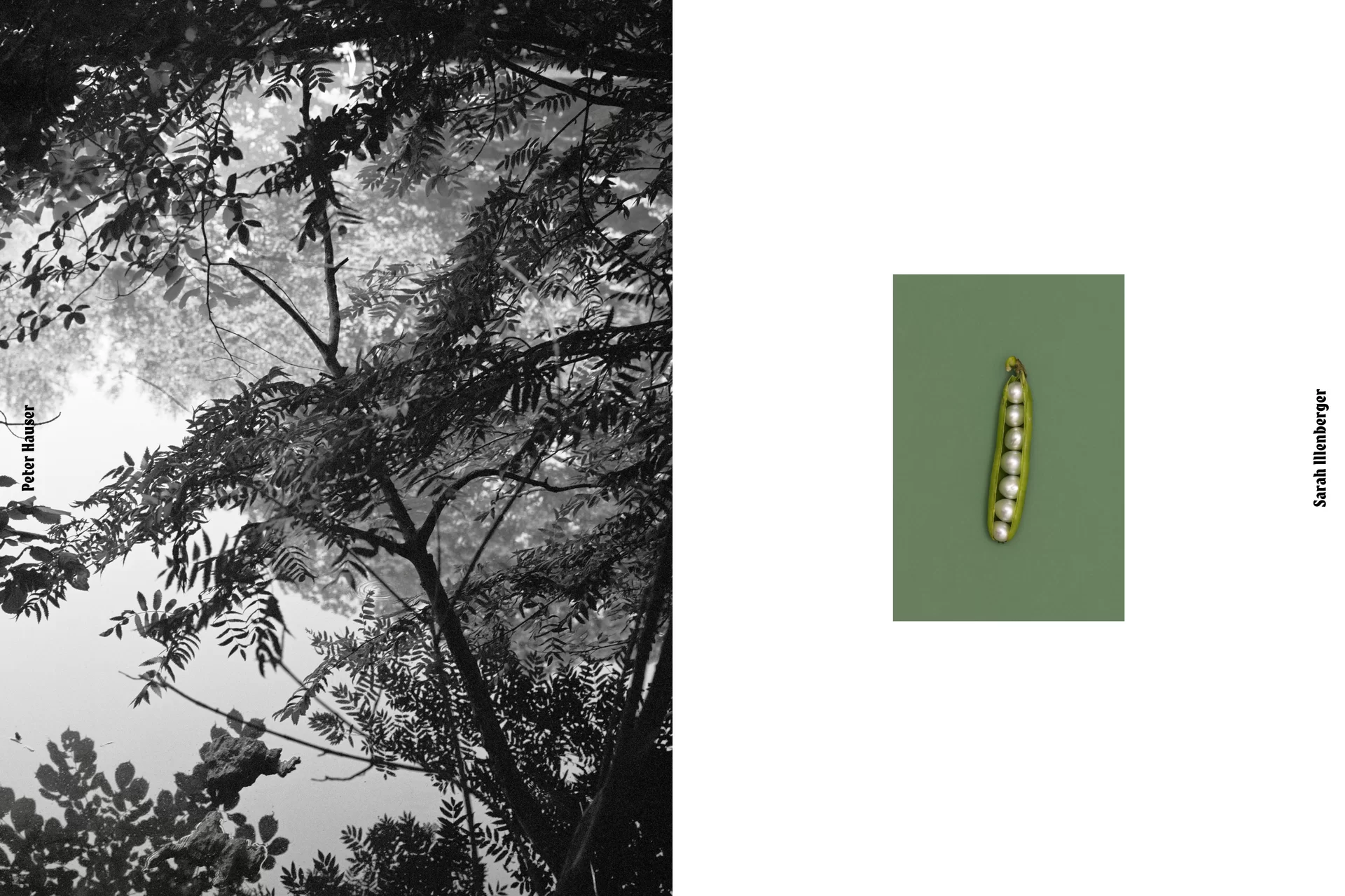 Secret Ausstellung Magazin Plakat Print Swiss Grafikdesign Art Direction Creative Direction Fotografie Illustration Bunt Text Typographie Bildkomposition 