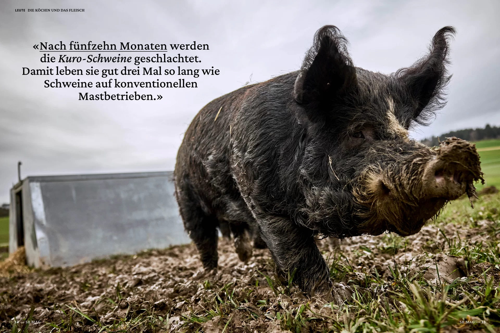 Schweizer Bauer Magazin Landwirtschaft Plakat Mobile Print Webseite Gestaltungskonzept Art Direction Creative Direction Fotografie Illustration Bunt Text Typographie Bildkomposition Essen  