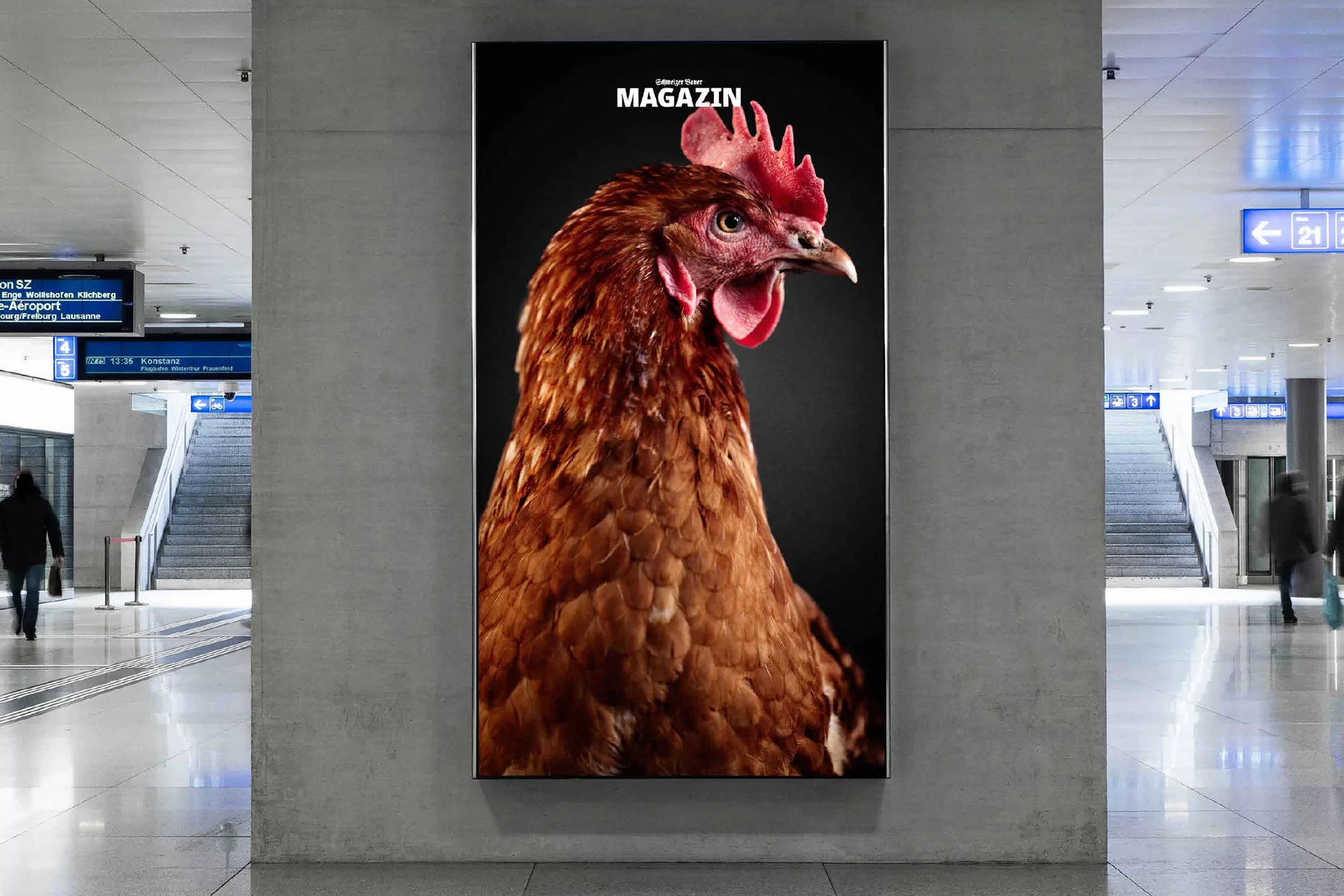 Schweizer Bauer Magazin Landwirtschaft Plakat Mobile Print Webseite Gestaltungskonzept Art Direction Creative Direction Fotografie Illustration Bunt Text Typographie Bildkomposition Essen  