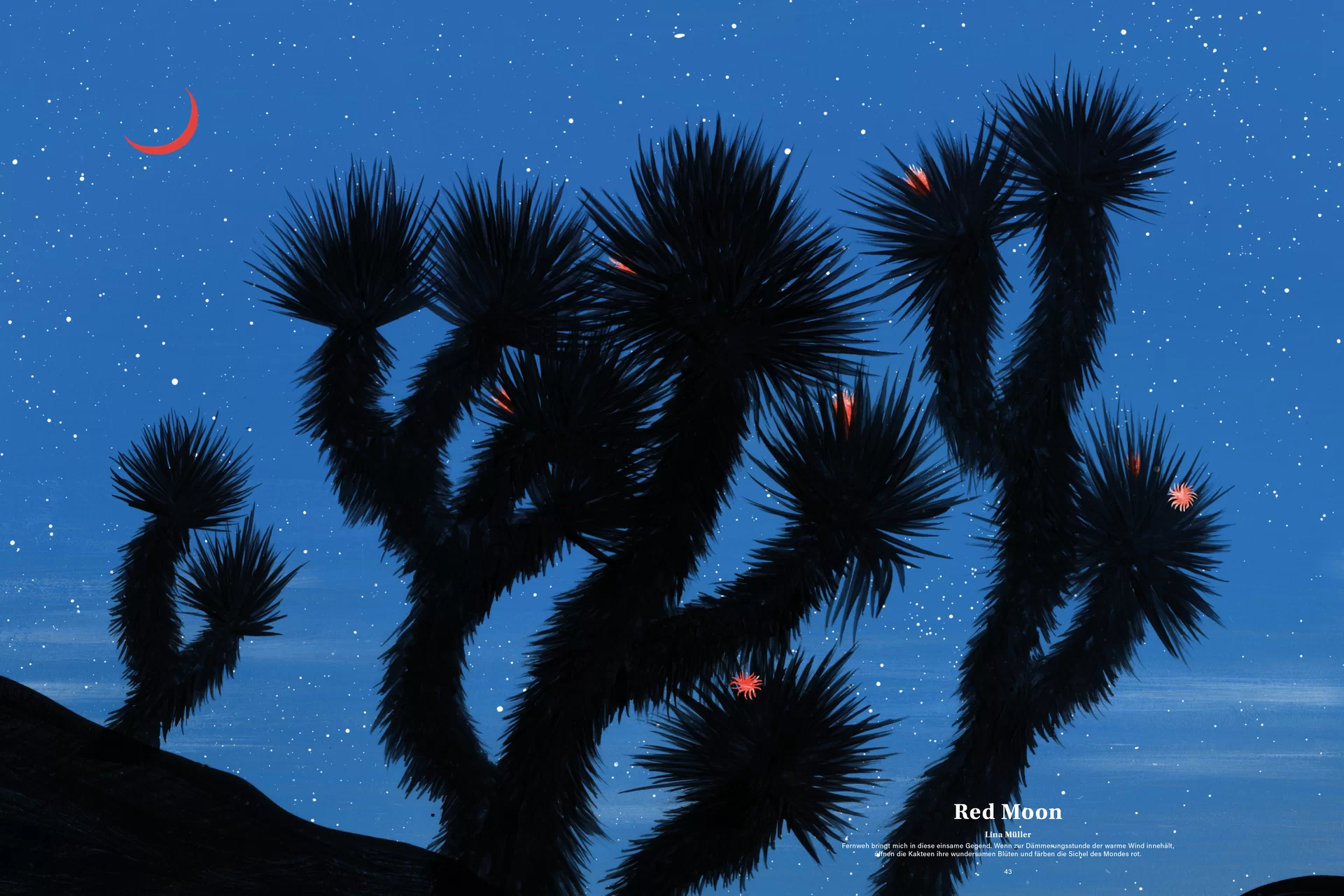 MJR Melanie JeanRichard Way of living Mediterran Floristin Blumen Blumenwelt Magazin Grossformat Kunstmagazin Kunstprojekt Inhalt Titelblatt Cover Print Swiss Grafikdesign Art Direction Creative Direction Fotografie Illustration Bunt Farbig Bildkomposition Text