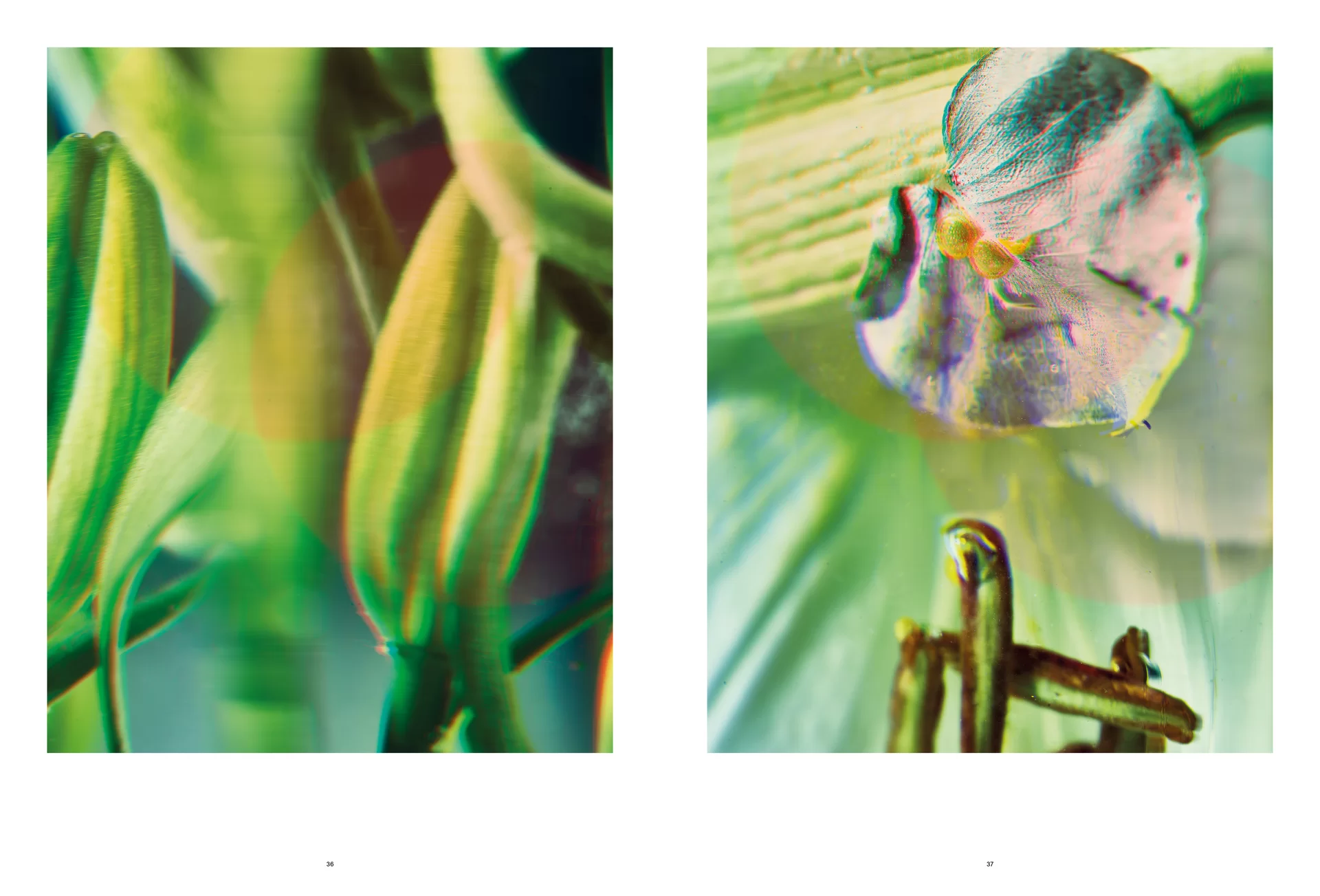 MJR Melanie JeanRichard Way of living Mediterran Floristin Blumen Blumenwelt Magazin Grossformat Kunstmagazin Kunstprojekt Inhalt Titelblatt Cover Print Swiss Grafikdesign Art Direction Creative Direction Fotografie Illustration Bunt Farbig Bildkomposition Text