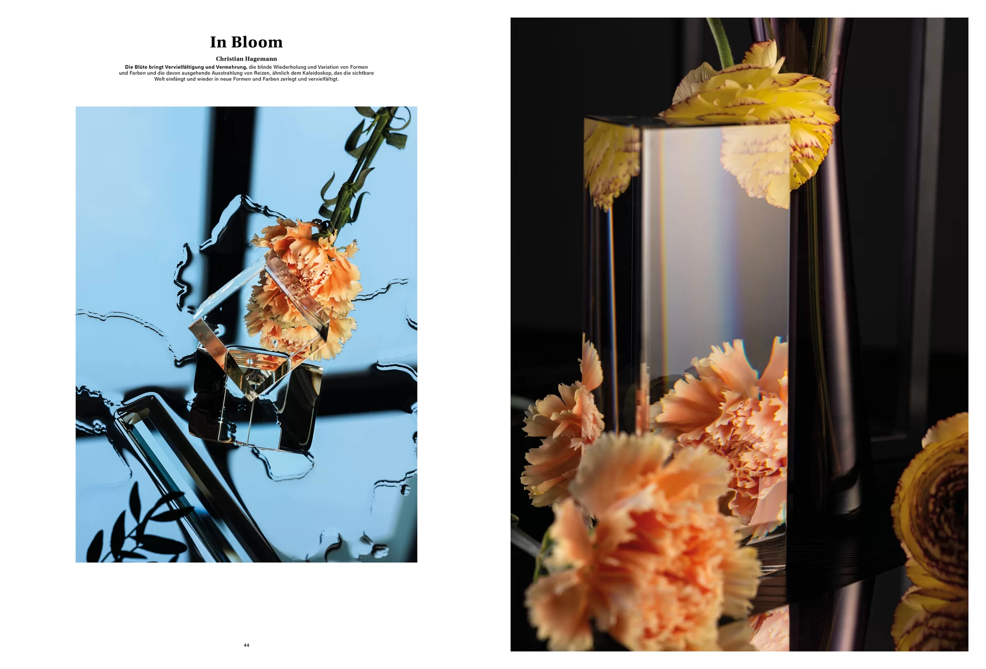 [Translate to English:] MJR Melanie JeanRichard Way of living Mediterran Floristin Blumen Blumenwelt Magazin Grossformat Kunstmagazin Kunstprojekt Inhalt Titelblatt Cover Print Swiss Grafikdesign Art Direction Creative Direction Fotografie Illustration Bunt Farbig Bildkomposition Text