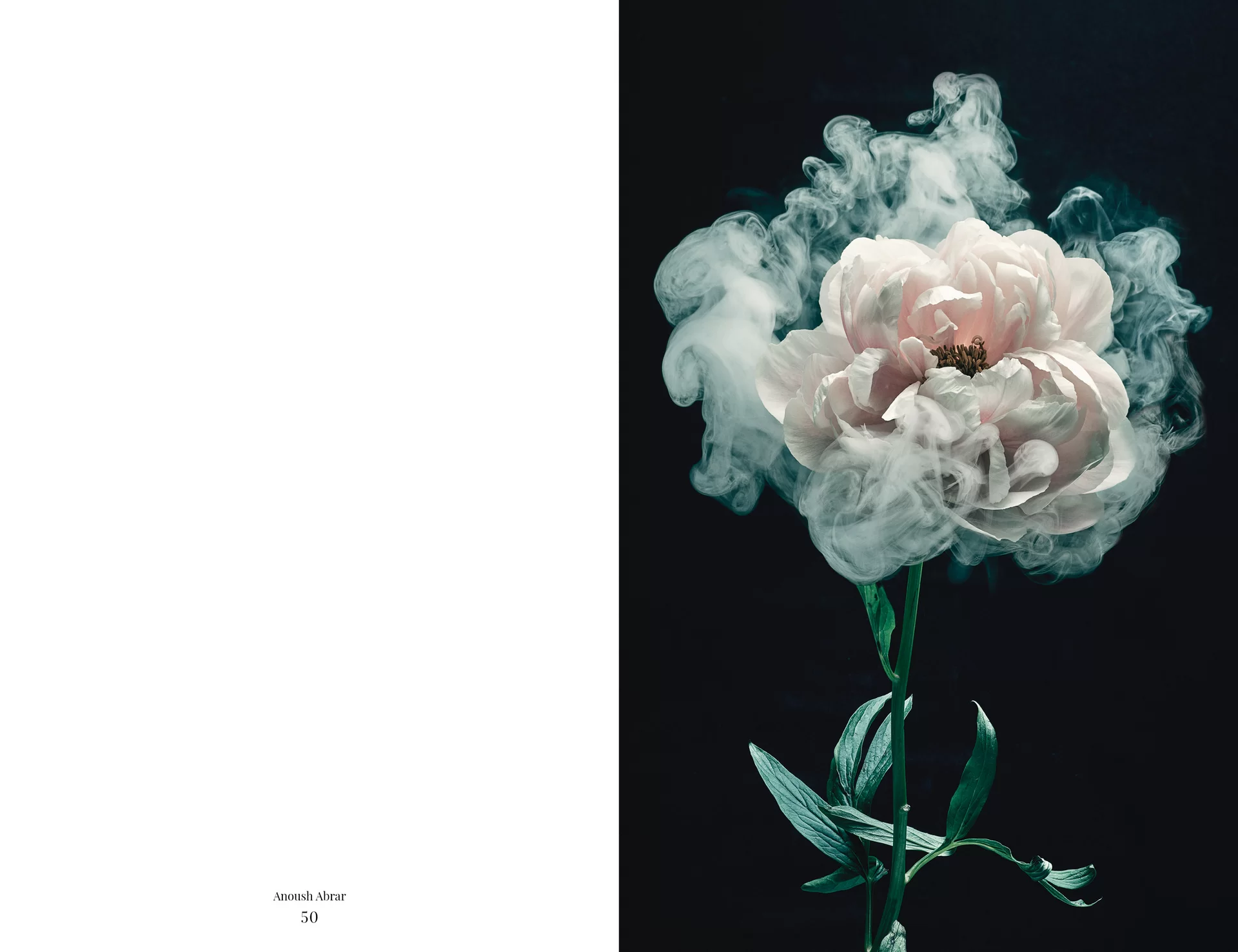 MJR Melanie JeanRichard Blühende Fantasie Mediterran Floristin Blumen Blumenwelt Angepasstes Branding Plakat Cover Print Swiss Grafikdesign Art Direction Creative Direction Fotografie Illustration Bunt Farbig Bildkomposition