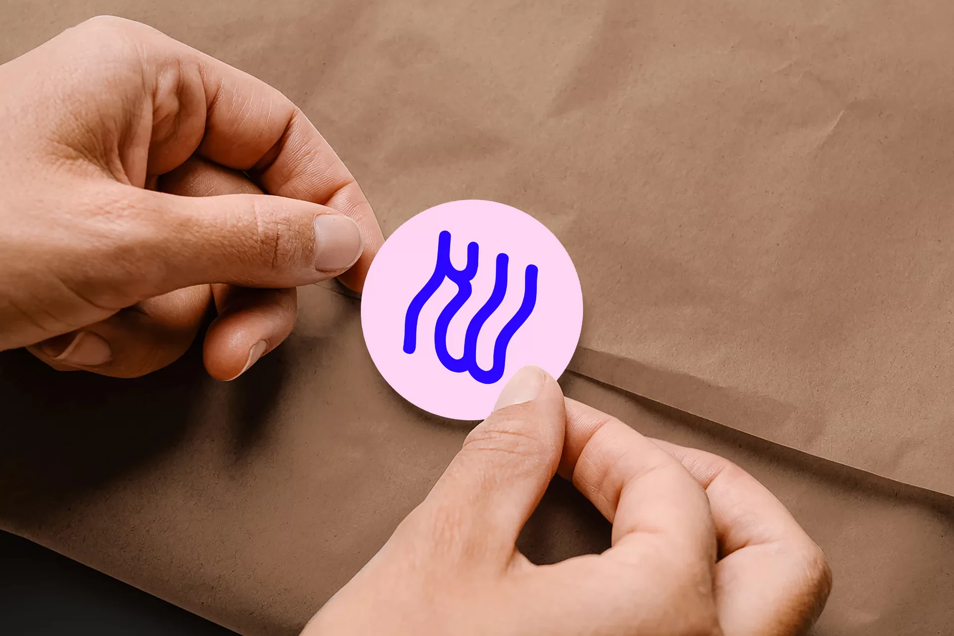 Kathrin Wiedmer Rebranding