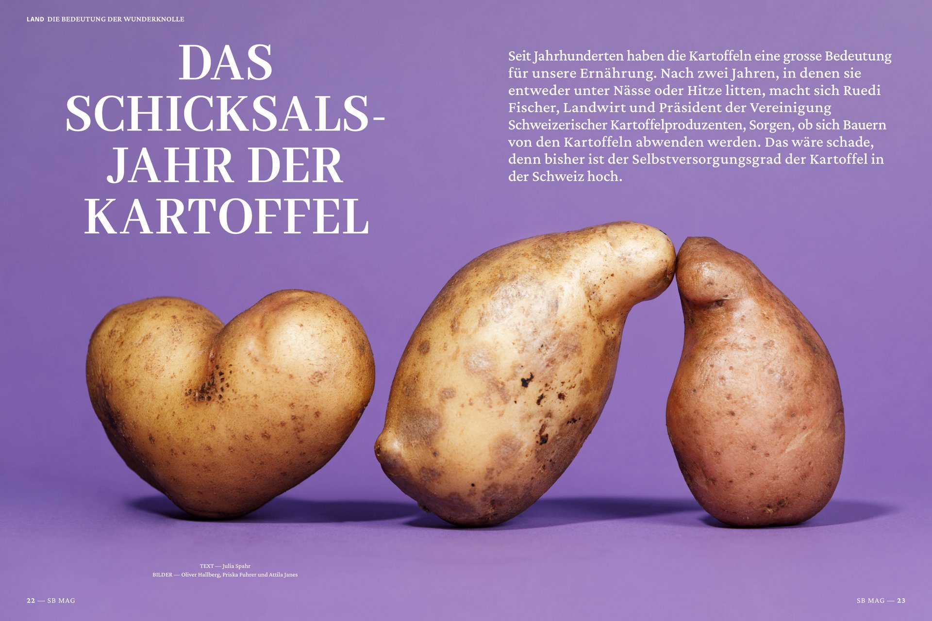 Die Schweizer Bauer Magazine Editorial Design