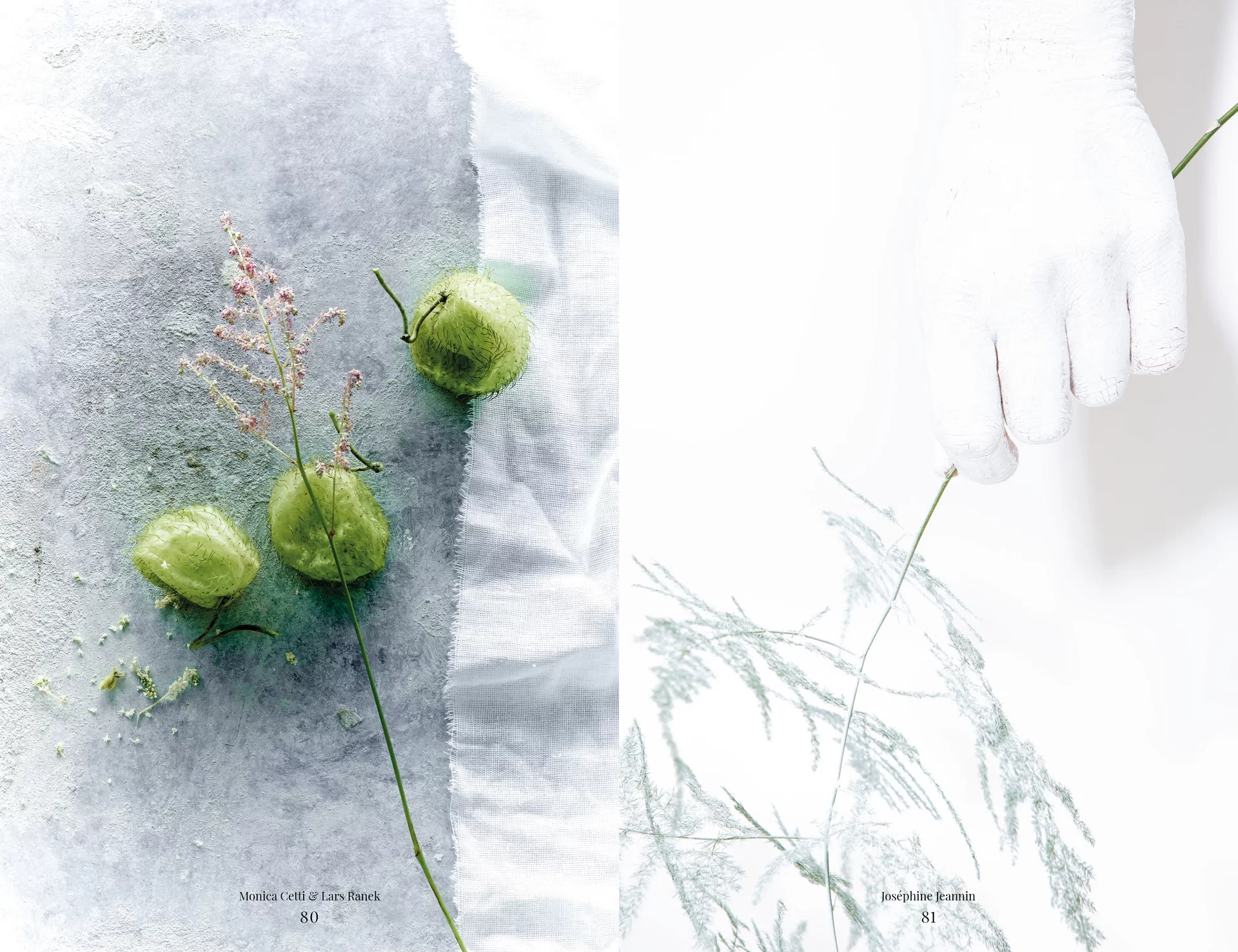 MJR Melanie JeanRichard Blühende Fantasie Mediterran Floristin Blumen Blumenwelt Angepasstes Branding Plakat Cover Print Swiss Grafikdesign Art Direction Creative Direction Fotografie Illustration Bunt Farbig Bildkomposition