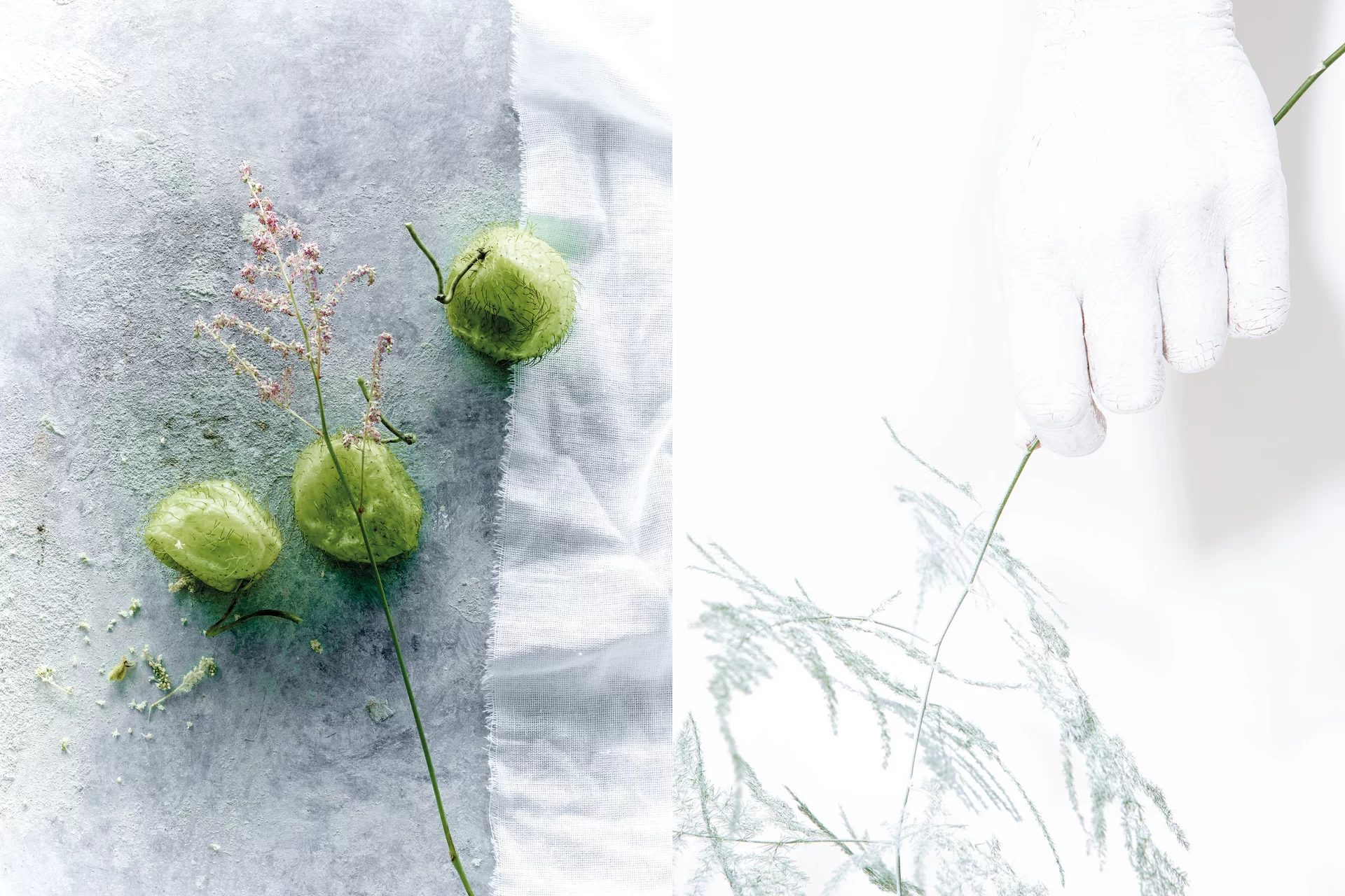 MJR Melanie JeanRichard Blühende Fantasie Mediterran Floristin Blumen Blumenwelt Angepasstes Branding Plakat Cover Print Swiss Grafikdesign Art Direction Creative Direction Fotografie Illustration Bunt Farbig Bildkomposition