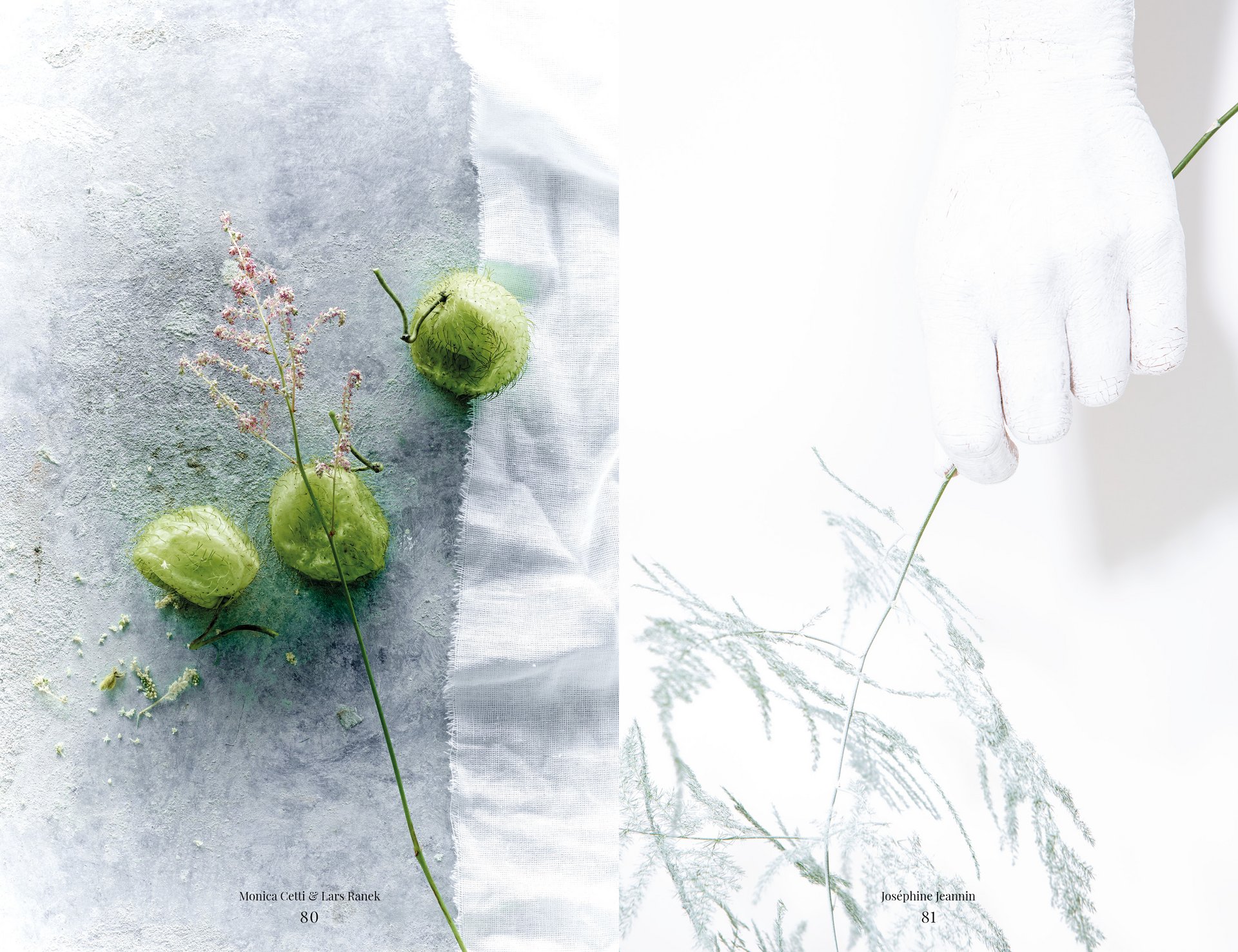 [Translate to English:] MJR Melanie JeanRichard Blühende Fantasie Mediterran Floristin Blumen Blumenwelt Angepasstes Branding Plakat Cover Print Swiss Grafikdesign Art Direction Creative Direction Fotografie Illustration Bunt Farbig Bildkomposition