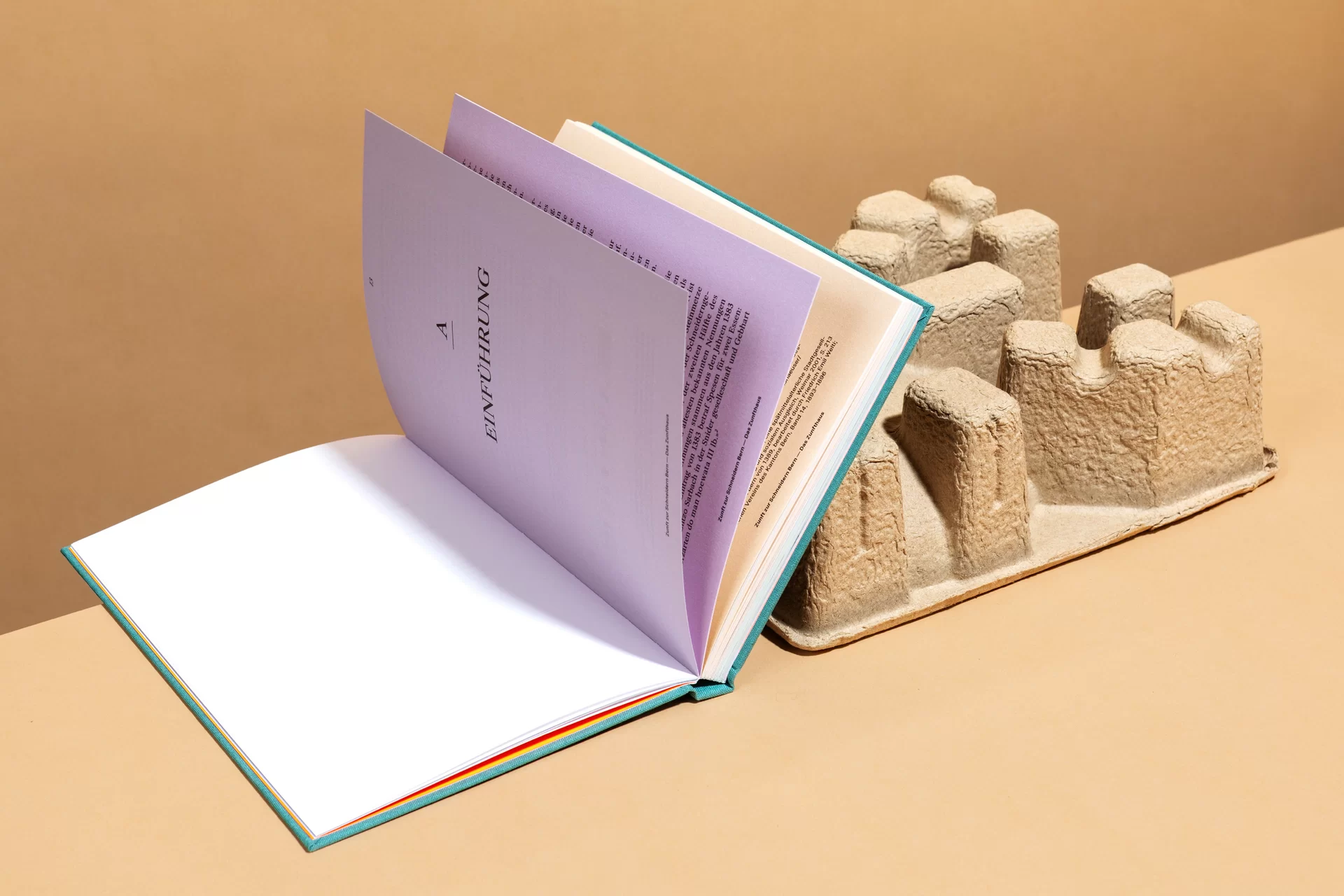 Das Zunfthaus Buch Bern Design