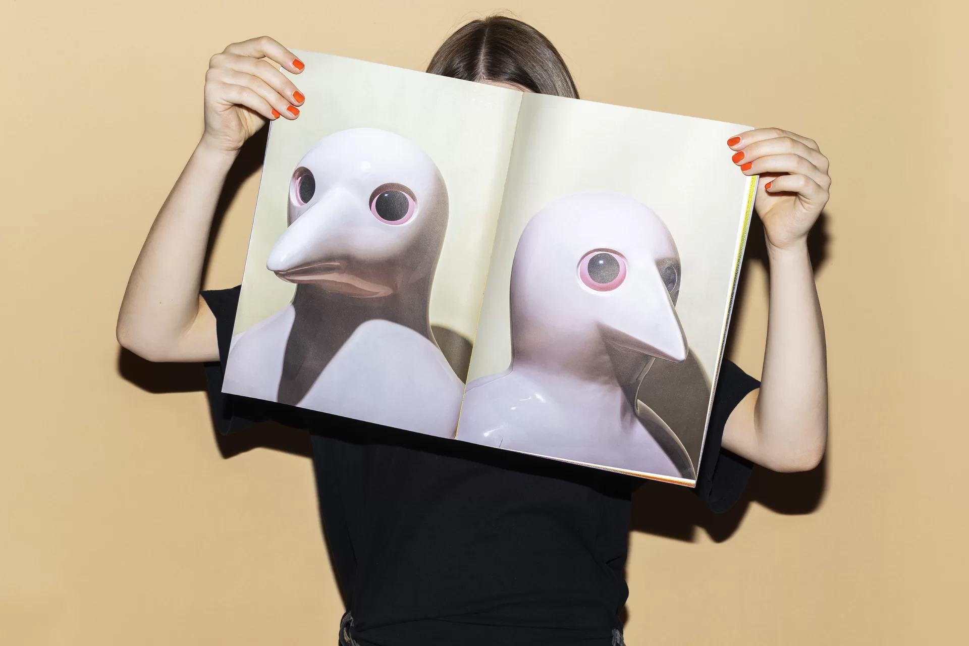 vögeli ag magazin