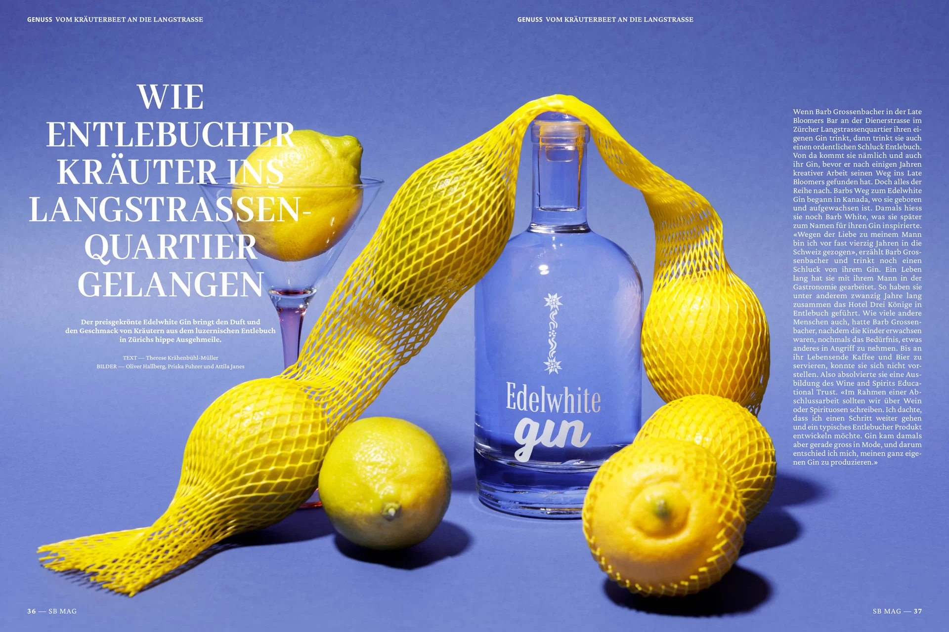 Schweizer Bauer Magazin Landwirtschaft Plakat Mobile Print Webseite Gestaltungskonzept Art Direction Creative Direction Fotografie Illustration Bunt Text Typographie Bildkomposition Essen  