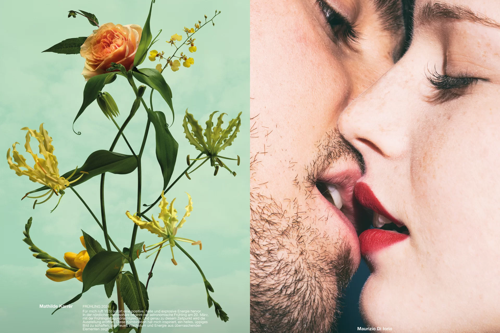 Studio Thom Pfister YES Einmalig Ausstellung Einladung Kuratiert Künstlerinnen Kunst Verkauf Swiss Grafikdesign International Art Direction Creative Direction Grossformat Magazin limitiert Cover Titelbild Inhalt Text Christof Gertsch Plakat Karte Postversand Fotografie Illustration Bunt Farbig Bildkomposition