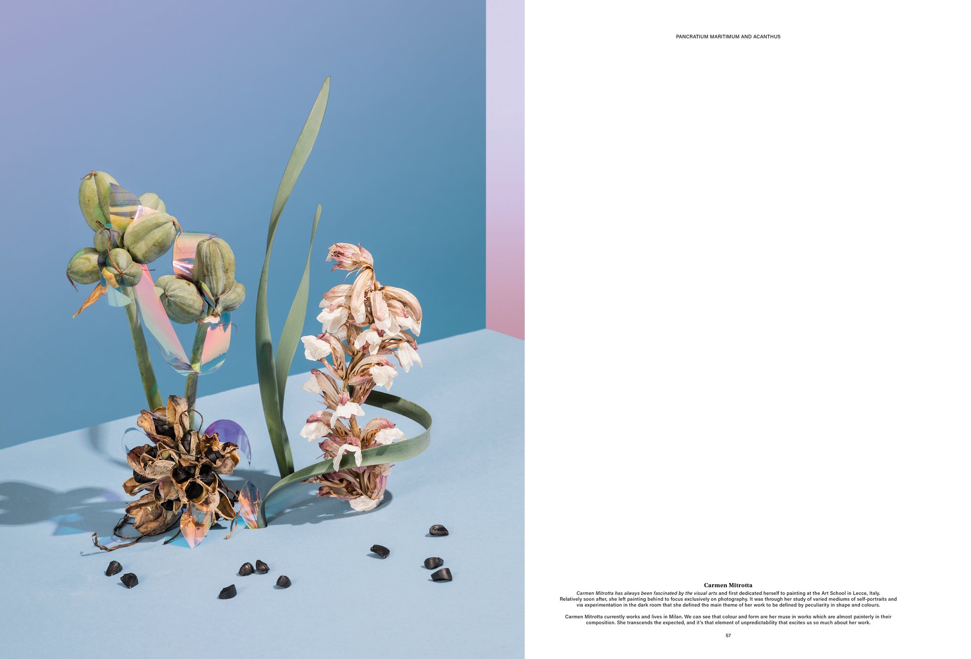 [Translate to English:] MJR Melanie JeanRichard Way of living Mediterran Floristin Blumen Blumenwelt Magazin Grossformat Kunstmagazin Kunstprojekt Inhalt Titelblatt Cover Print Swiss Grafikdesign Art Direction Creative Direction Fotografie Illustration Bunt Farbig Bildkomposition Text