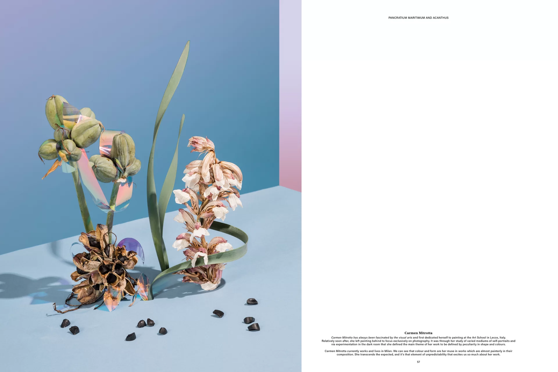 MJR Melanie JeanRichard Way of living Mediterran Floristin Blumen Blumenwelt Magazin Grossformat Kunstmagazin Kunstprojekt Inhalt Titelblatt Cover Print Swiss Grafikdesign Art Direction Creative Direction Fotografie Illustration Bunt Farbig Bildkomposition Text