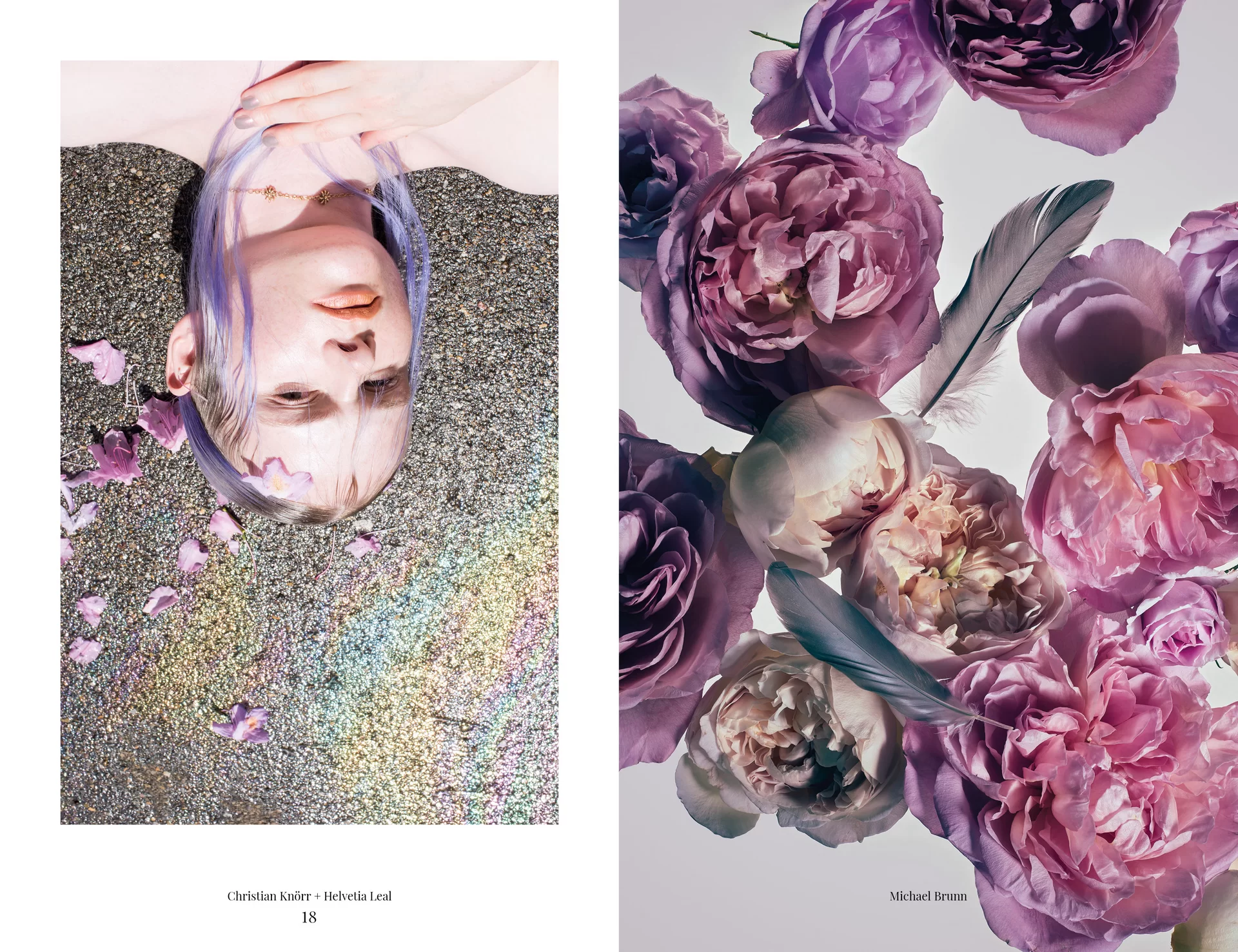 MJR Melanie JeanRichard Blühende Fantasie Mediterran Floristin Blumen Blumenwelt Angepasstes Branding Plakat Cover Print Swiss Grafikdesign Art Direction Creative Direction Fotografie Illustration Bunt Farbig Bildkomposition
