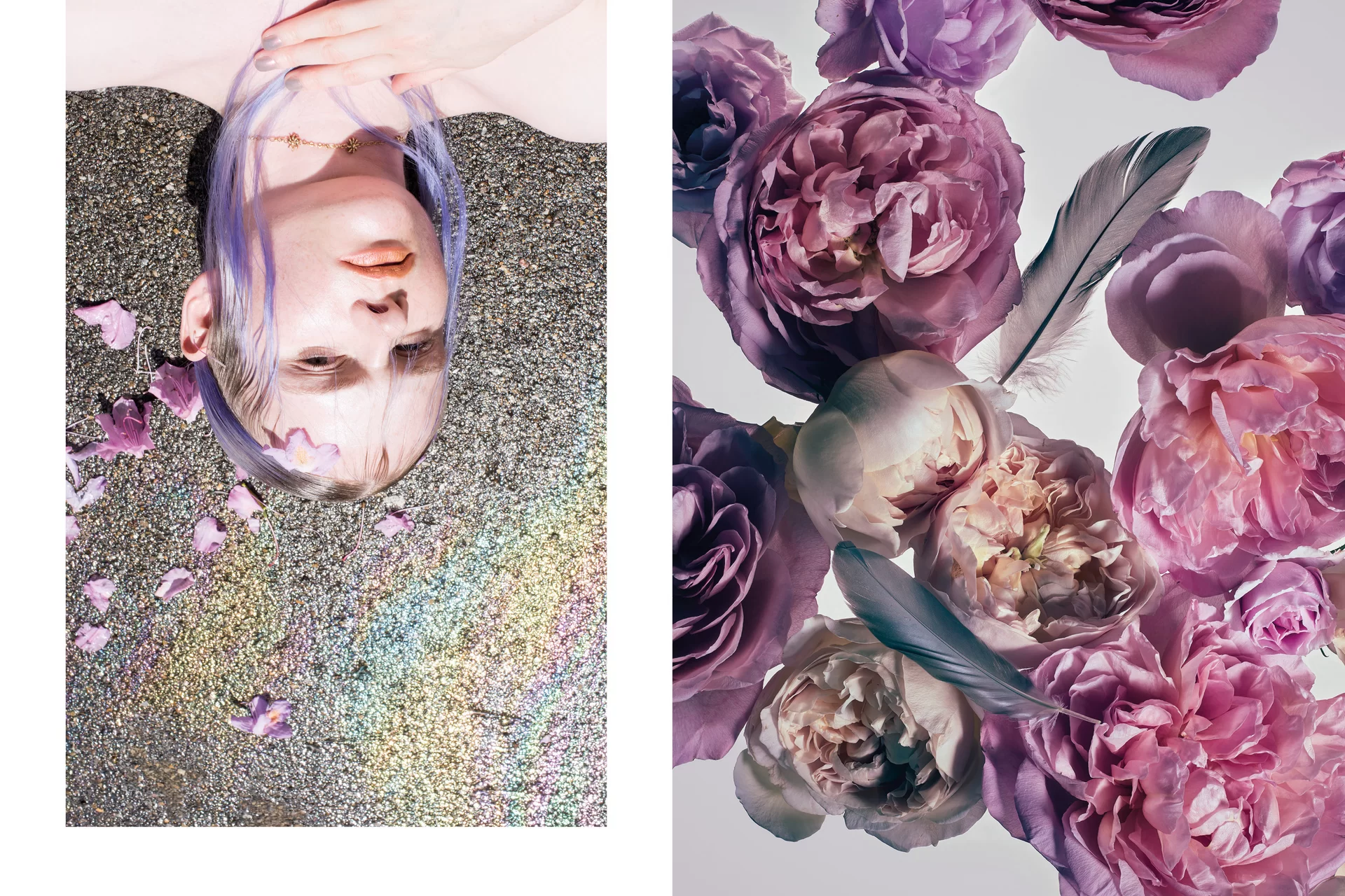 MJR Melanie JeanRichard Blühende Fantasie Mediterran Floristin Blumen Blumenwelt Angepasstes Branding Plakat Cover Print Swiss Grafikdesign Art Direction Creative Direction Fotografie Illustration Bunt Farbig Bildkomposition