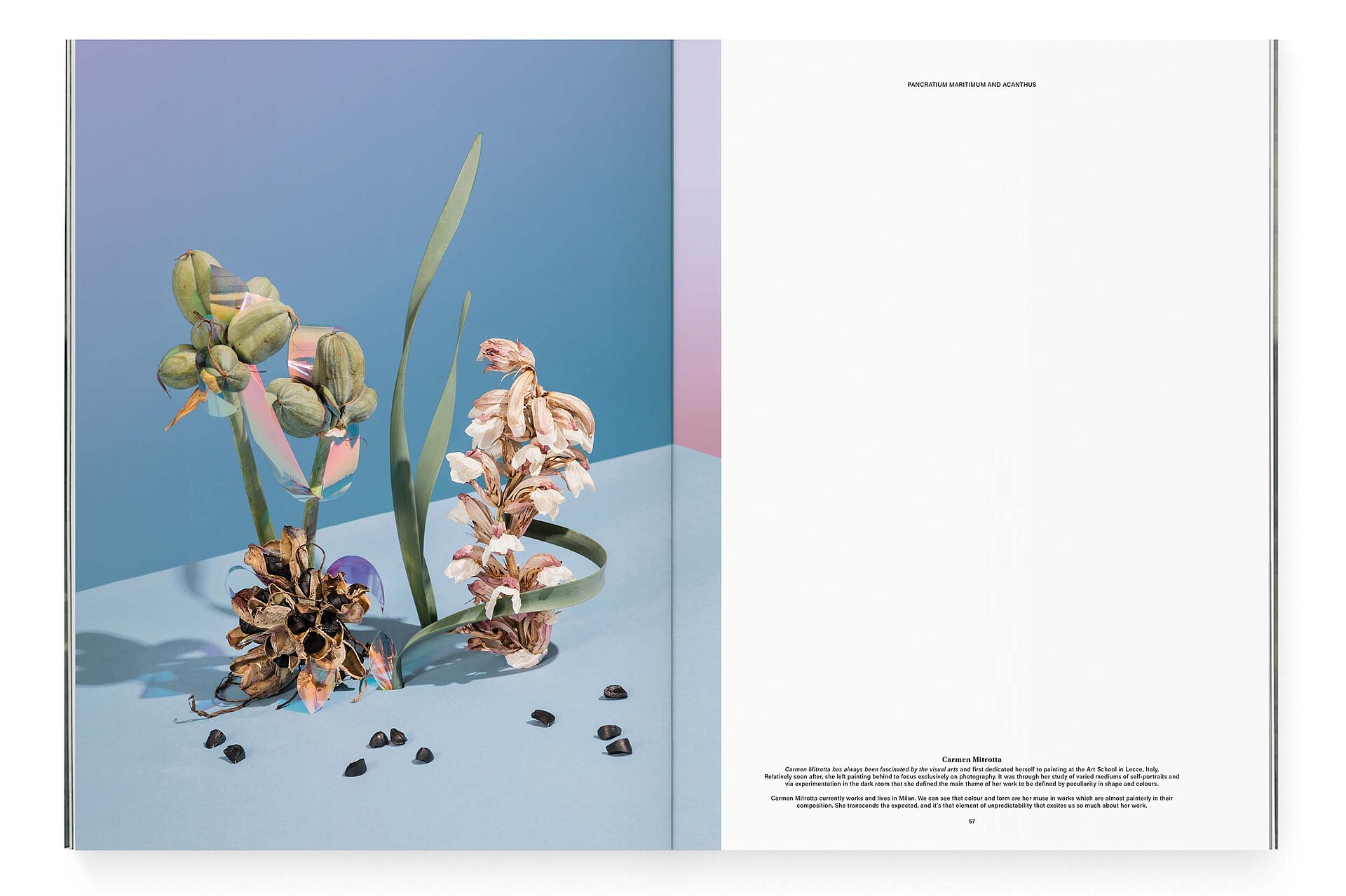mjr magazine pages with installation with flowers and seeds design bern