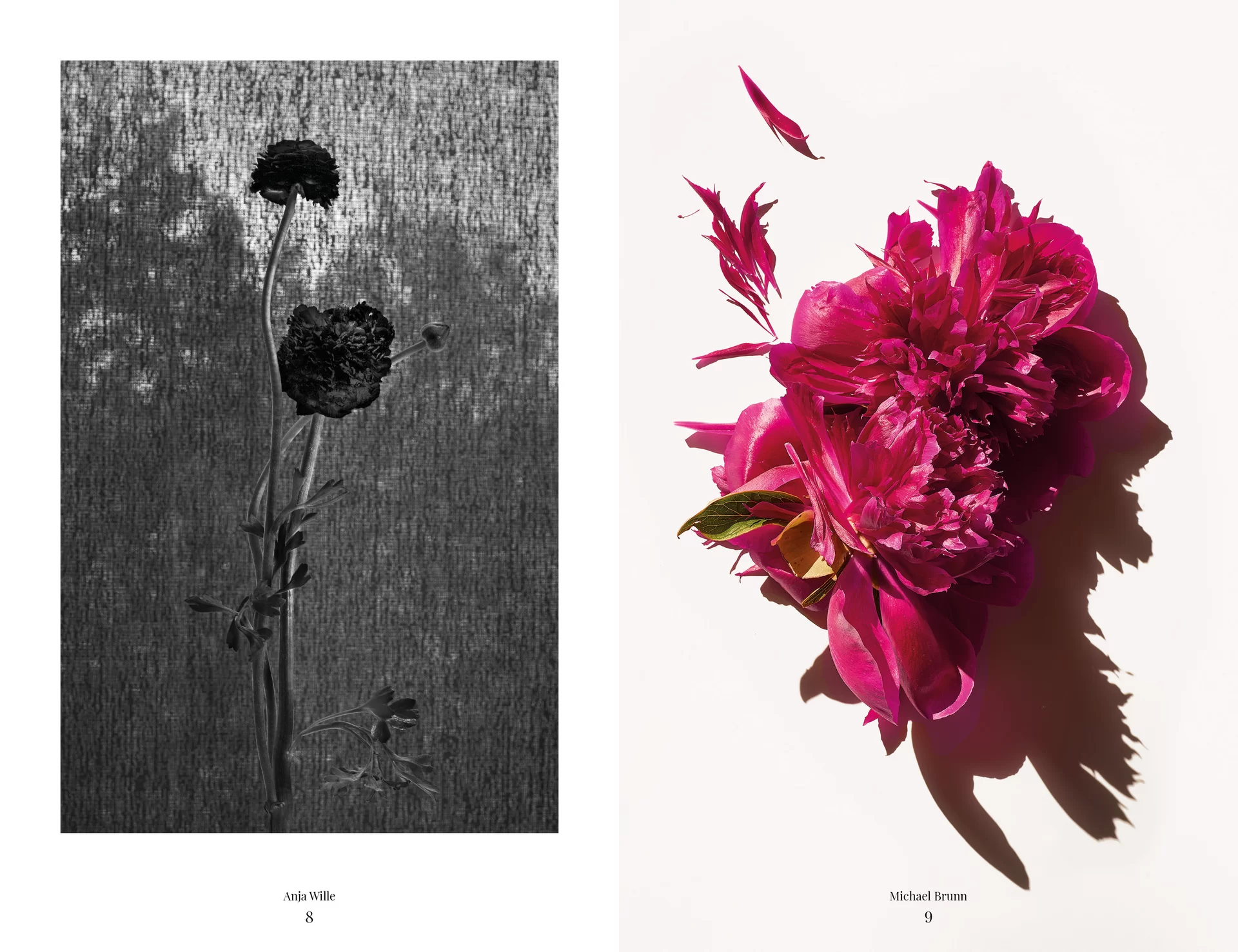 MJR Melanie JeanRichard Blühende Fantasie Mediterran Floristin Blumen Blumenwelt Angepasstes Branding Plakat Cover Print Swiss Grafikdesign Art Direction Creative Direction Fotografie Illustration Bunt Farbig Bildkomposition