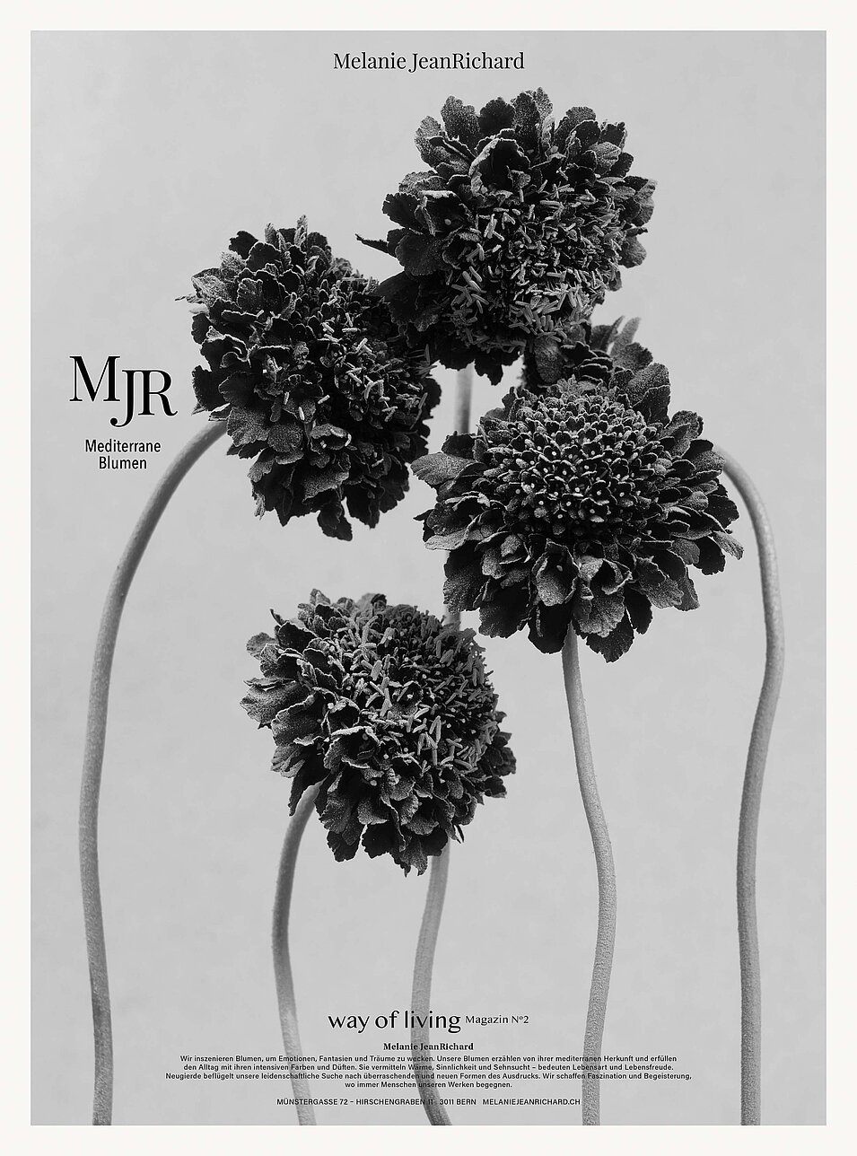 poster with flowers black and white advertising bern